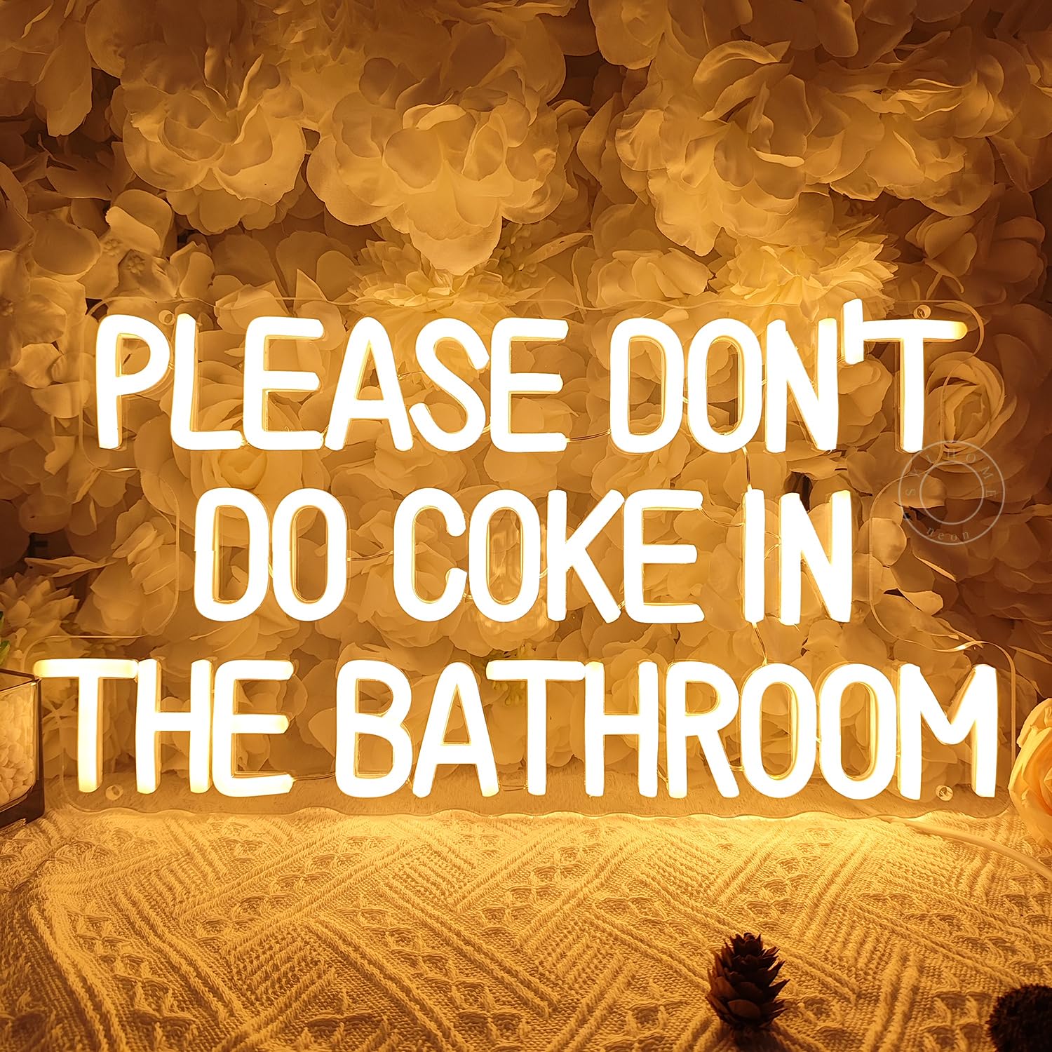 Sylhome Please DonT Do Coke In The Bathroom Game Room Bedroom Bar Store Wall Decor Sign Birthday Christmas Party Backdrop Gifts Usb 16.9X9.2 Warm