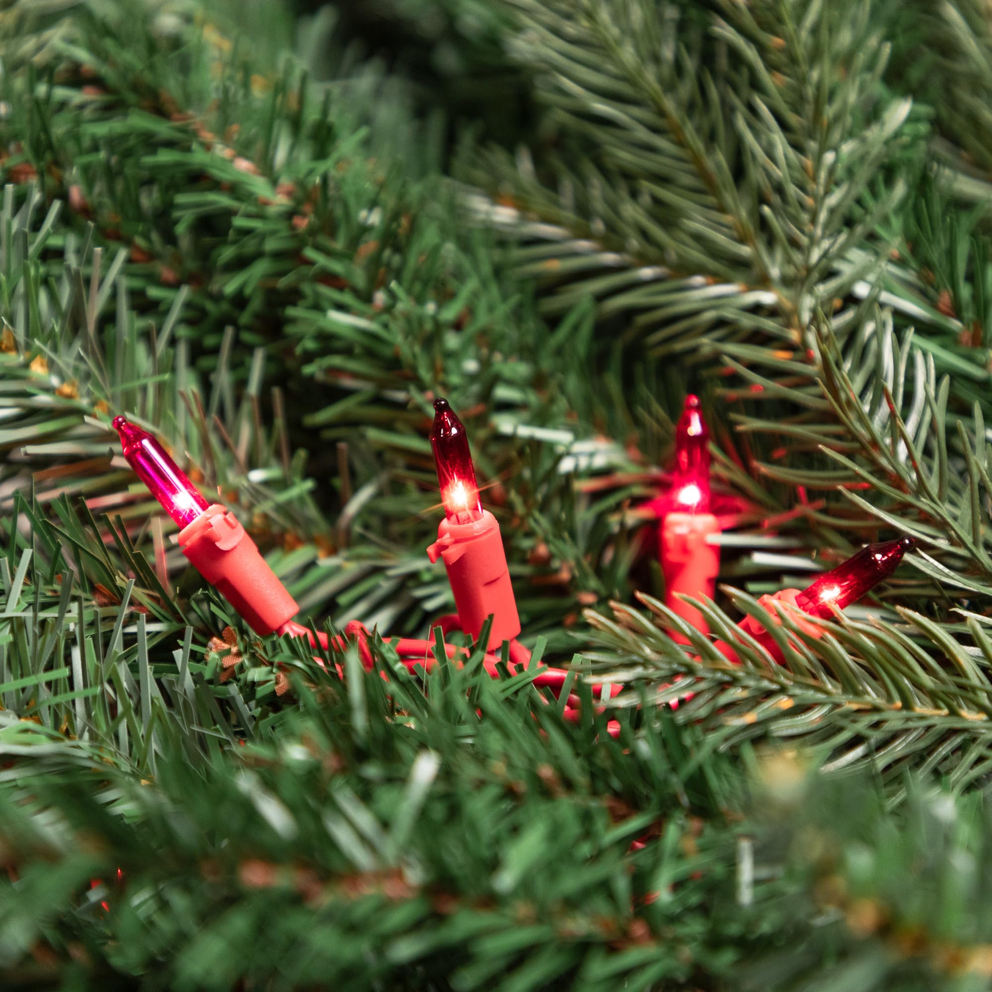 Northlight Mini Christmas Light Set - 50ct Red & Pink - 10' Red Wire - Plastic