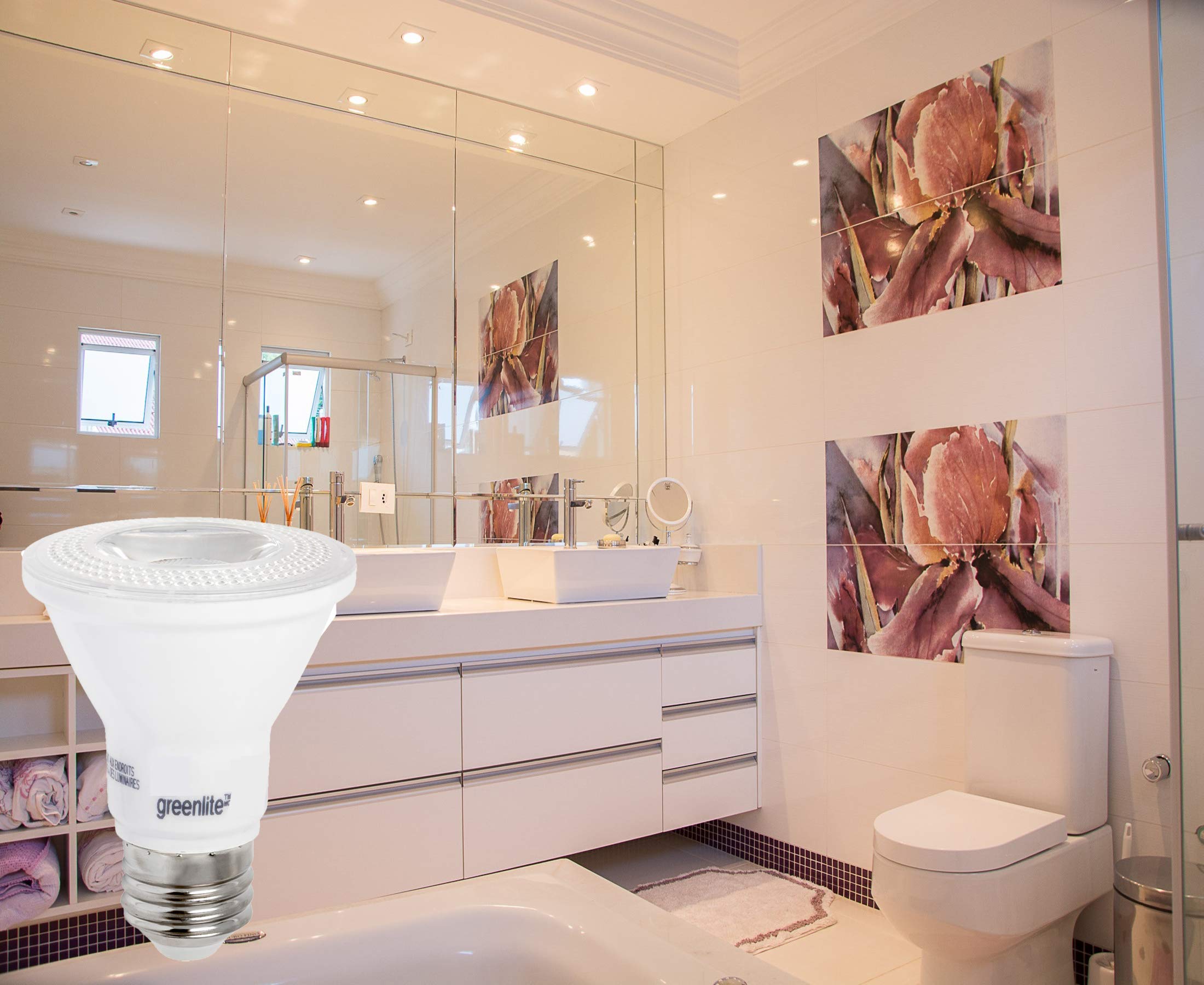 Greenlite LED PAR20 Dimmable Flood Light Bulb, 7W (50W Equivalent), 500 Lumens, 3000k Bright White, 30° Beam, 2 Pack