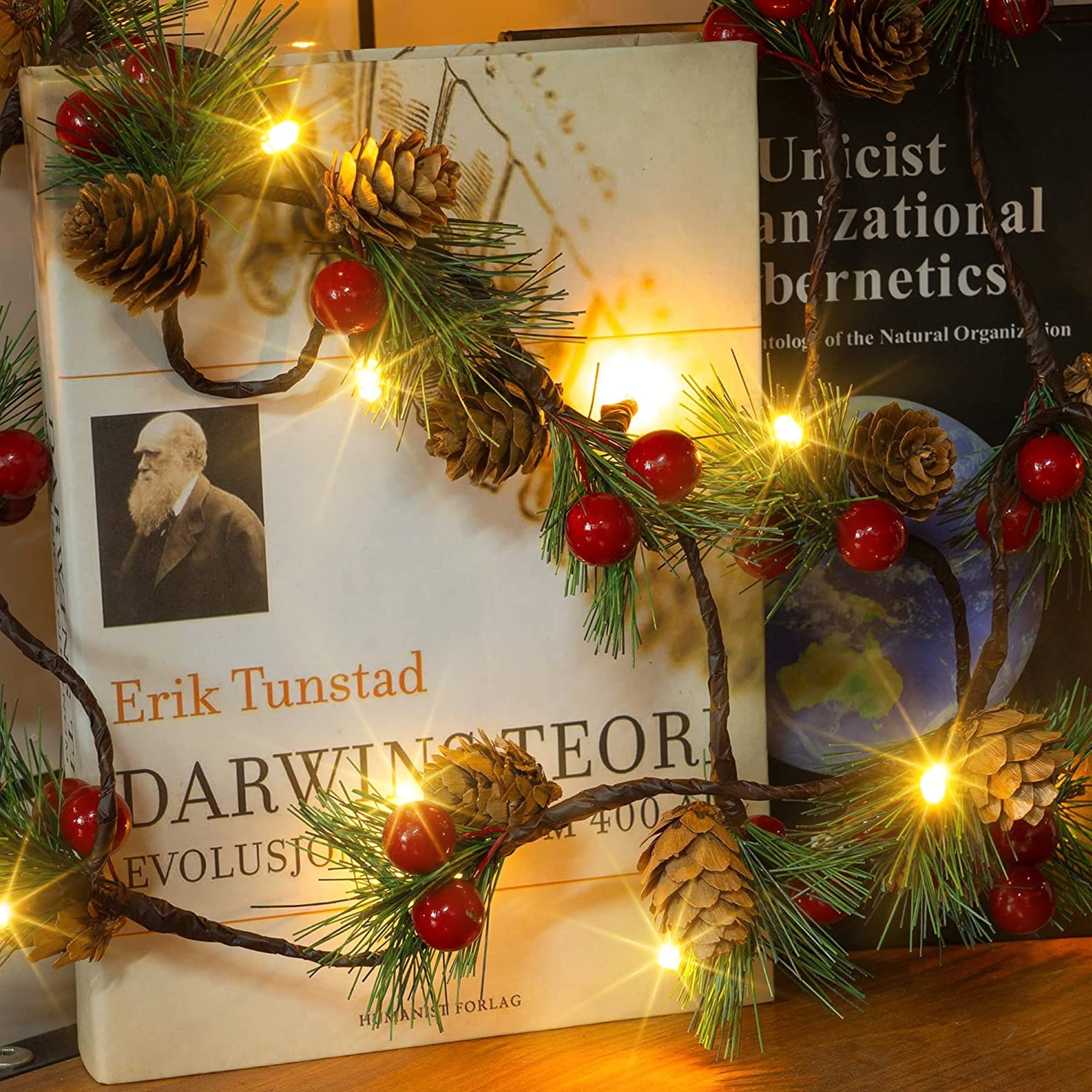 Dazzle Bright 2 Pack Pine Cone Christmas String Lights, Total 13Ft 40Led Battery Operated Christmas Garland With Red Berry Pine Cone Fairy String Lights For Indoor Outdoor Xmas Decorations