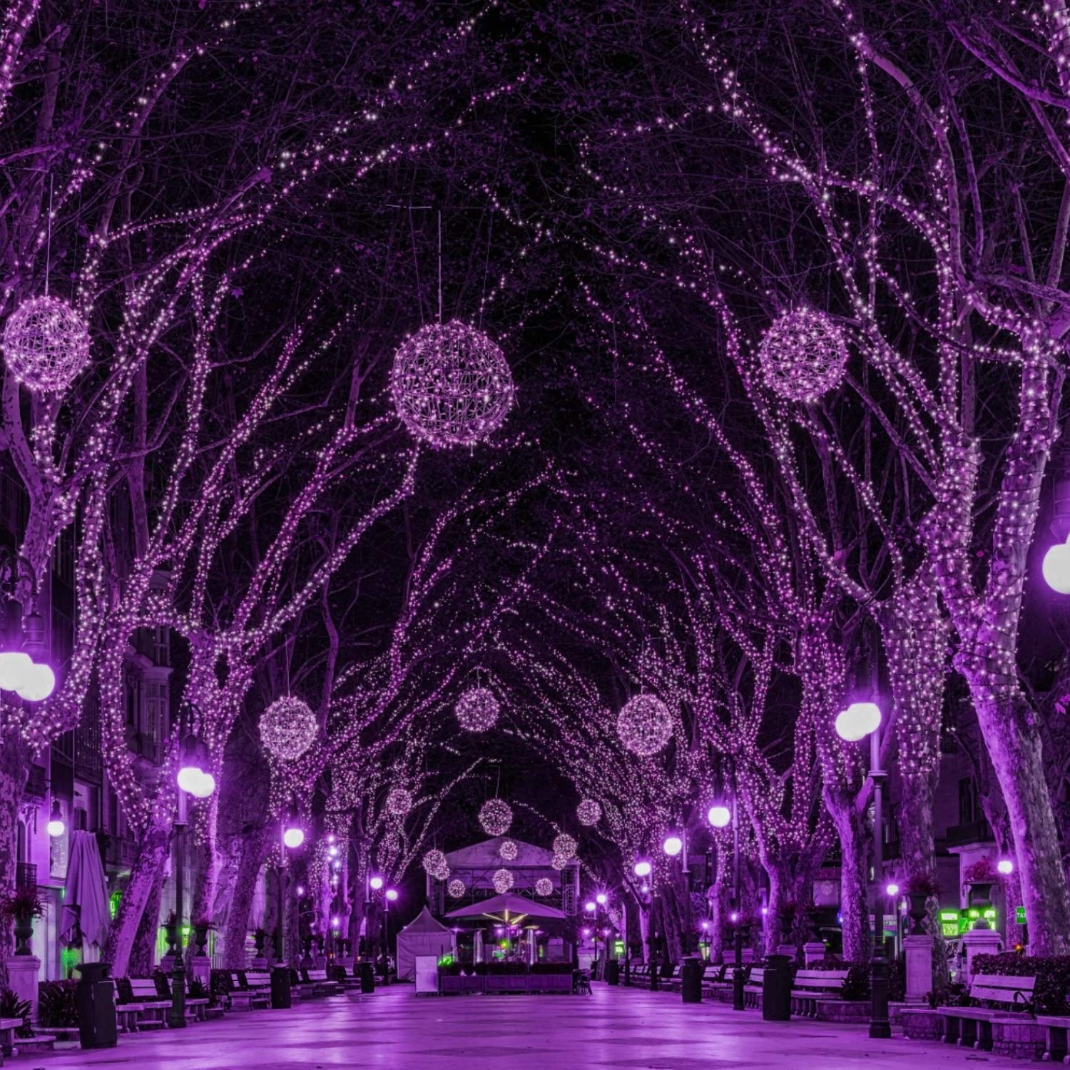 Purple Led Outdoor Halloween Lights  39Feet 100 Led Mini Lights With 8 Lighting Modes  Connectable Halloween String Light Plug In For Garden Patio Party Haunted House Ghost Holiday Lighting Decoration