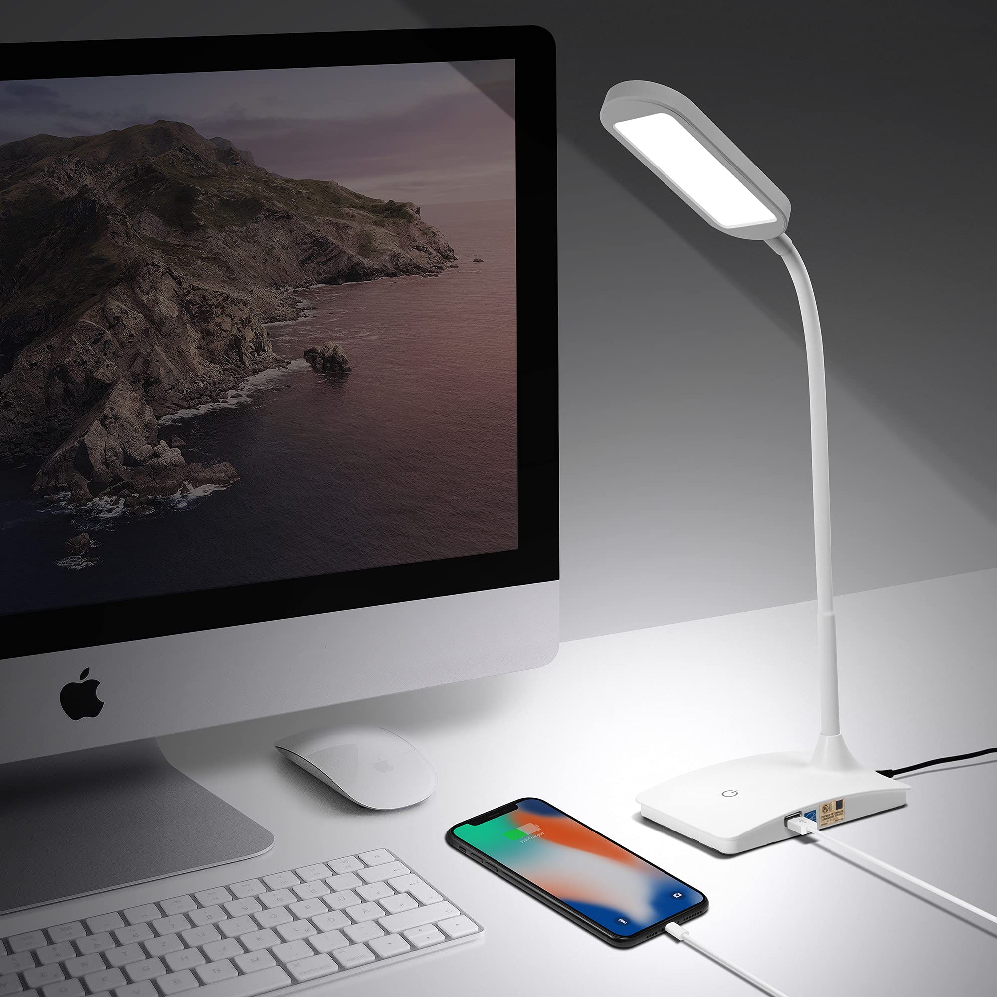 TW Lighting IVY20-40BK Ivy LED Desk Lamp with USB Port for Home Office - Super Bright Small Desk Lamp, a Perfect LED Desk Light