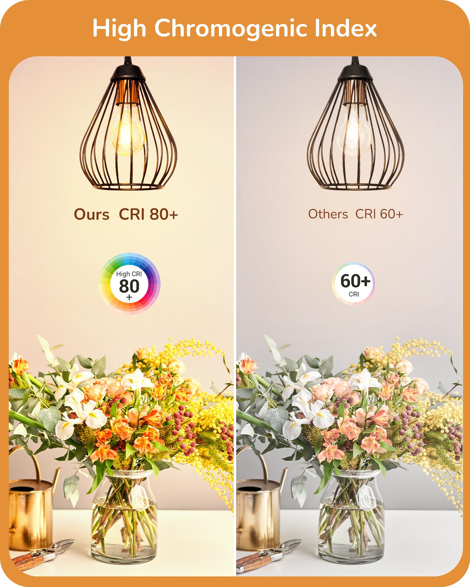 Edishine Vintage Led Edison Bulbs 8W, 60W Equivalent, 2200K Amber Warm Light, St58 Antique Edison Light Bulb With 80+ Cri, A19 D