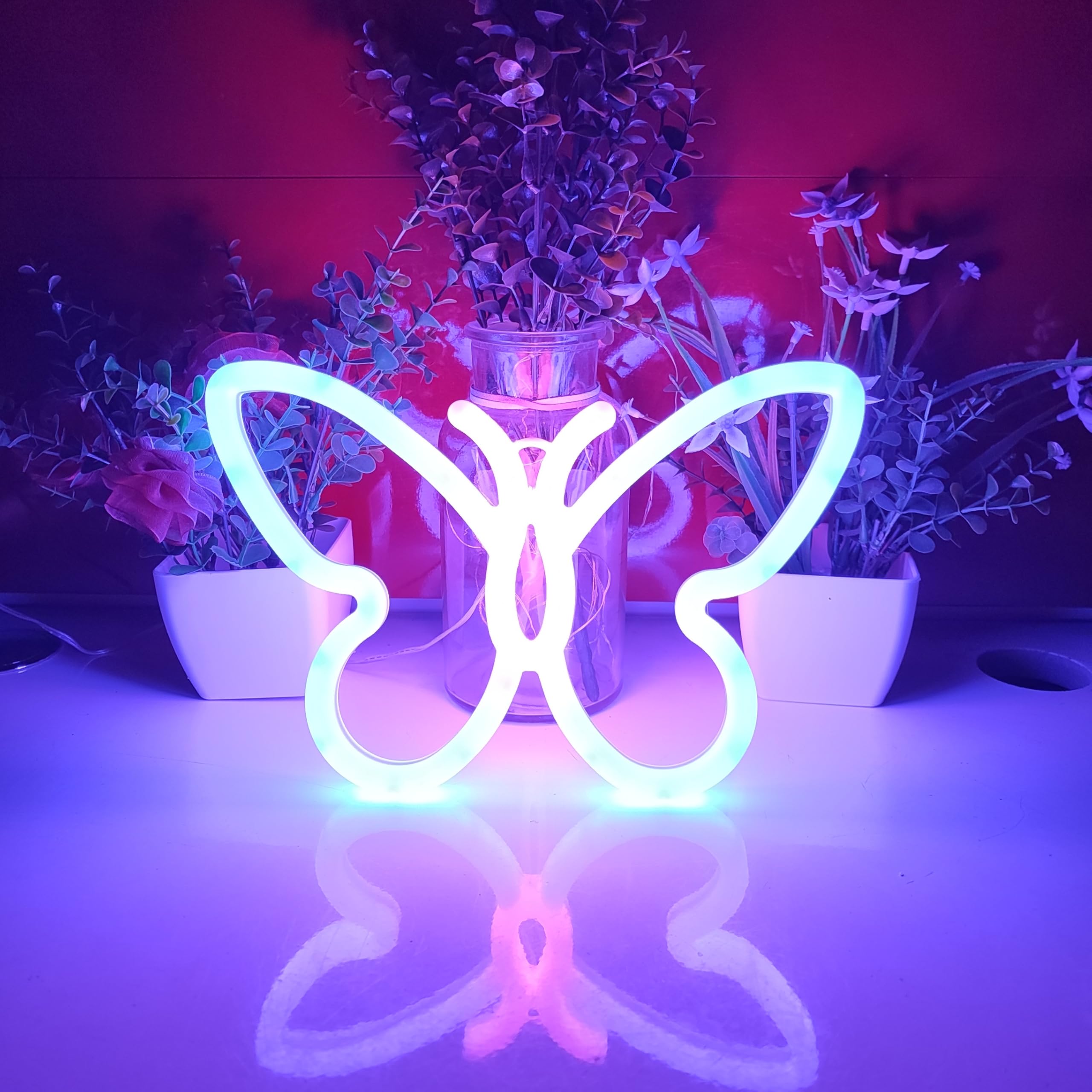 JYWJ Double Sided Neon Sign, USB Powered, Adjustable Brightness, 7.87inx9.84in, Blue+Pink, Model JY-NEON-001