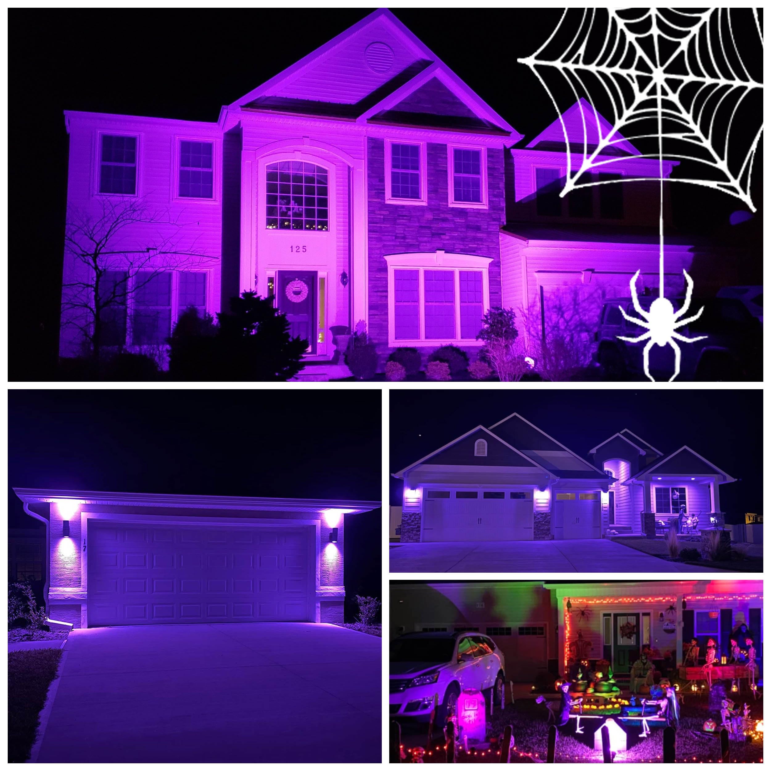 ALIDE MR16 5W LED Bulbs, Purple, 12V Low Voltage, 6 Pack, Halogen Equivalent, Perfect for Halloween & Outdoor Lighting