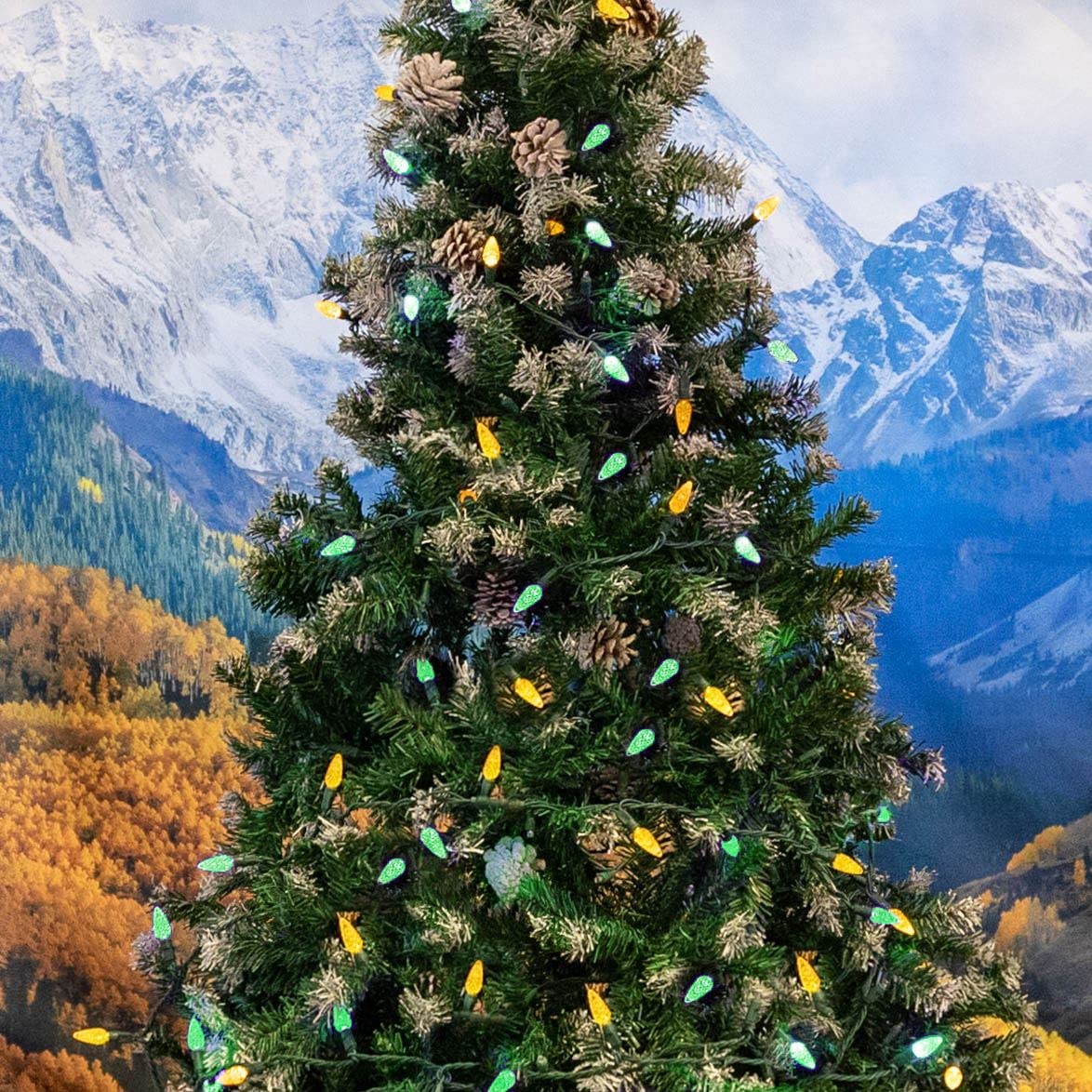 Novelty Lights C6 Led Christmas Mini Light Set, 70 Lights, 24Ft, Green/Yellow, Commercial Grade Outdoor String Lights, Green Wire