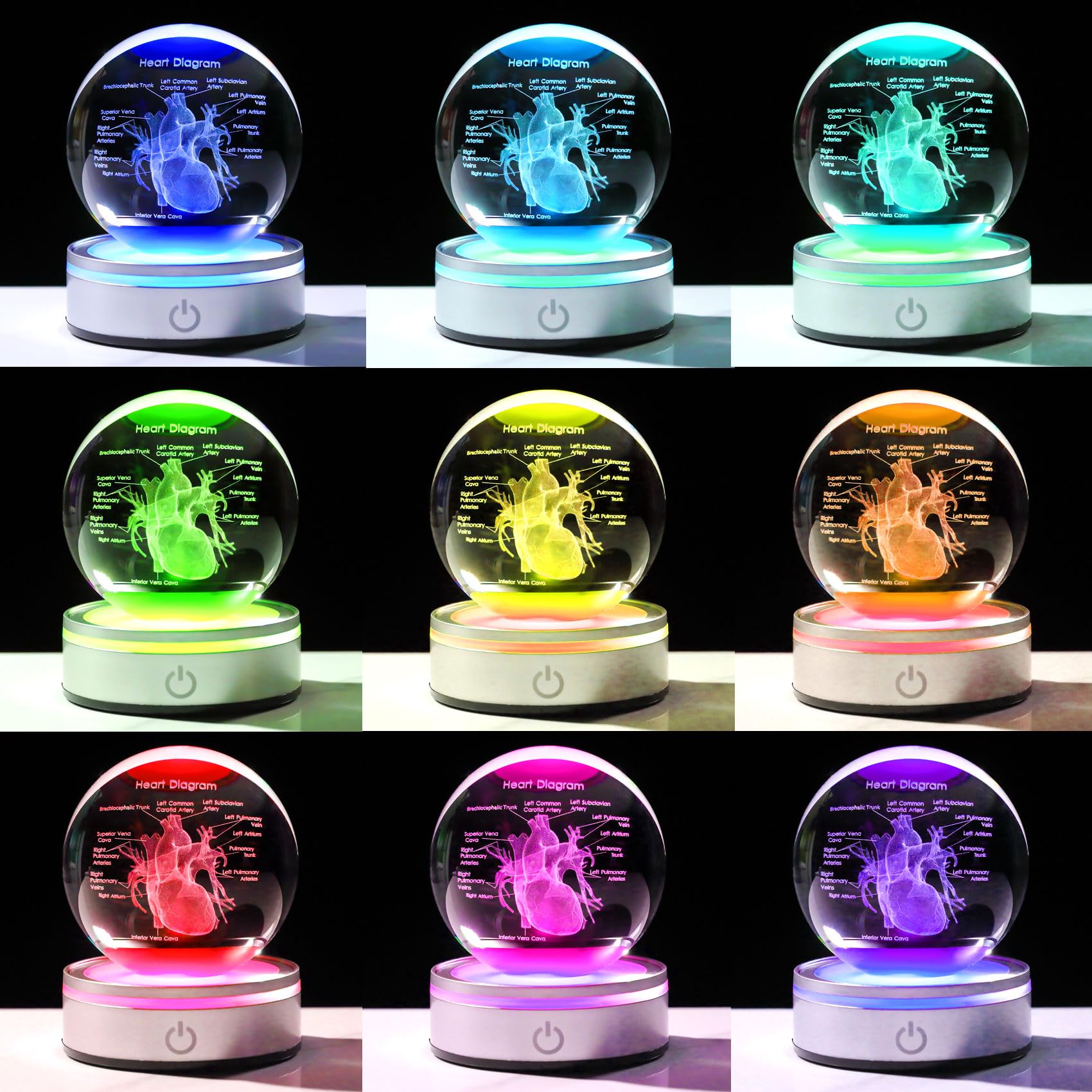 Enjinkail 3D Heart Model Crystal Ball Doctors Gift, Cardiologist Gift For Men And Women With Colorful Led Base, Medical Statue F