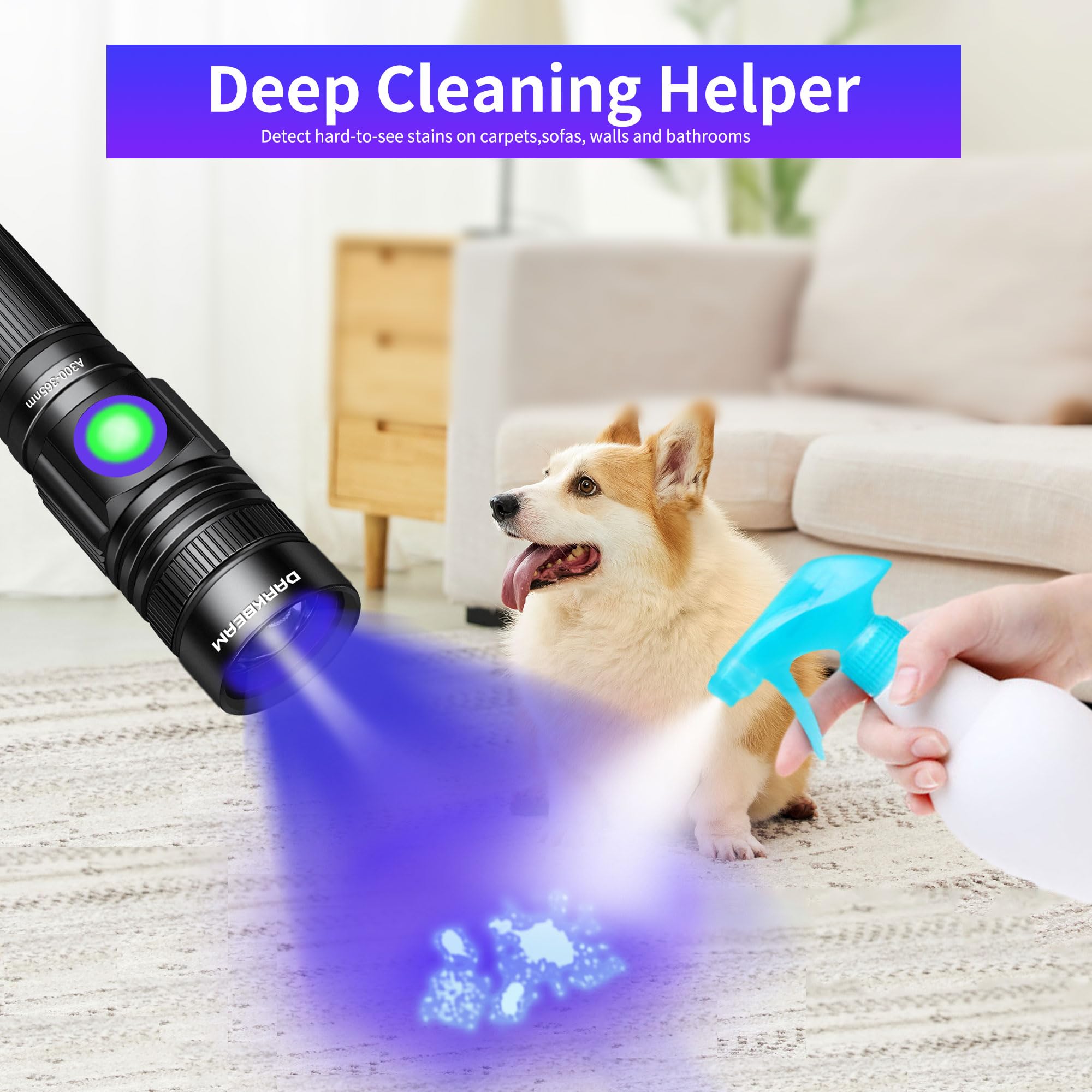 DARKBEAM UV Flashlight A300 - Rechargeable 365nm LED, Pocket-size, Aluminum, Black Light for Pet Urine Detection and Stain Removal