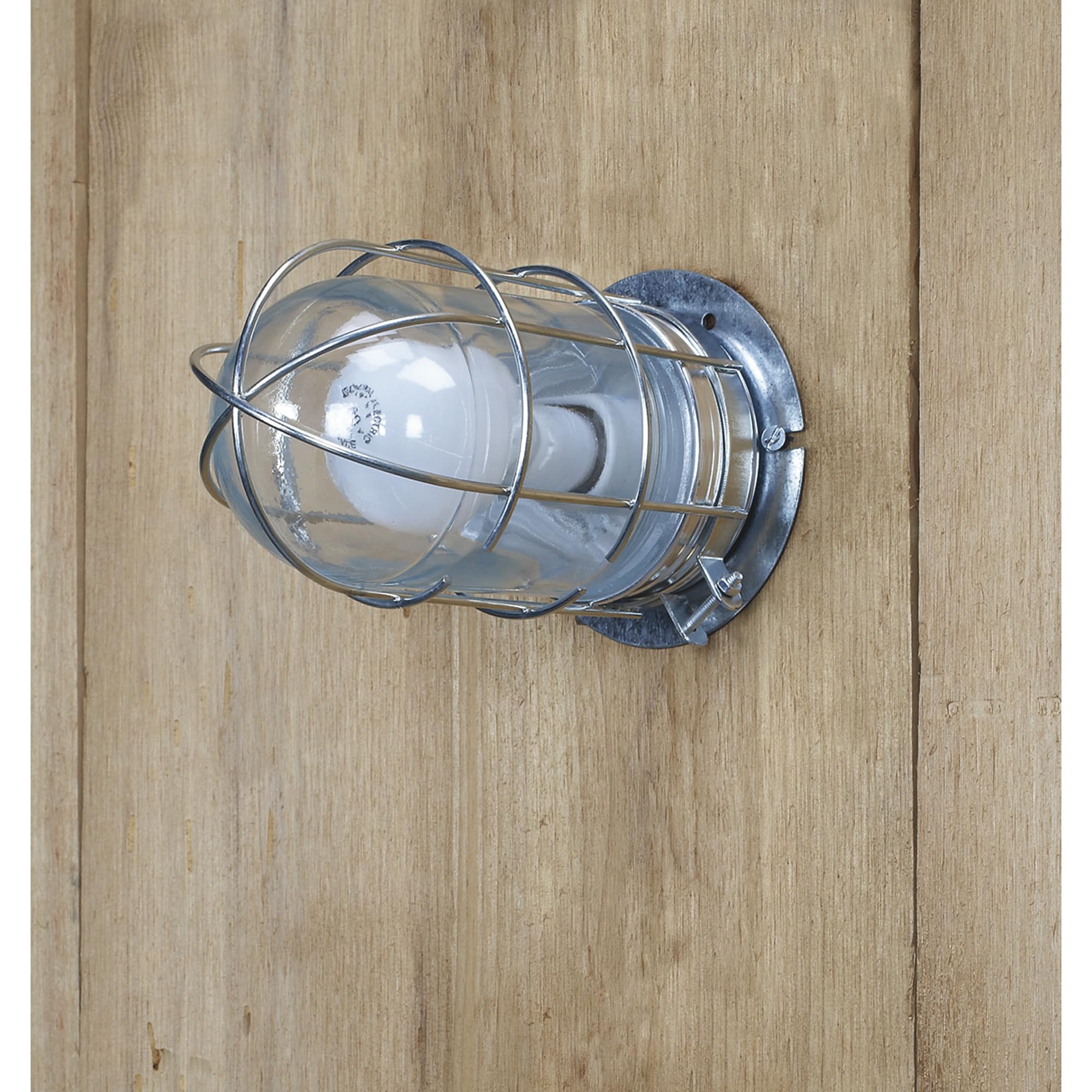 Canarm Ceiling/Wall Barn Light - Metal Cage, 120V, Model BL04CWG, Silver, With Cage