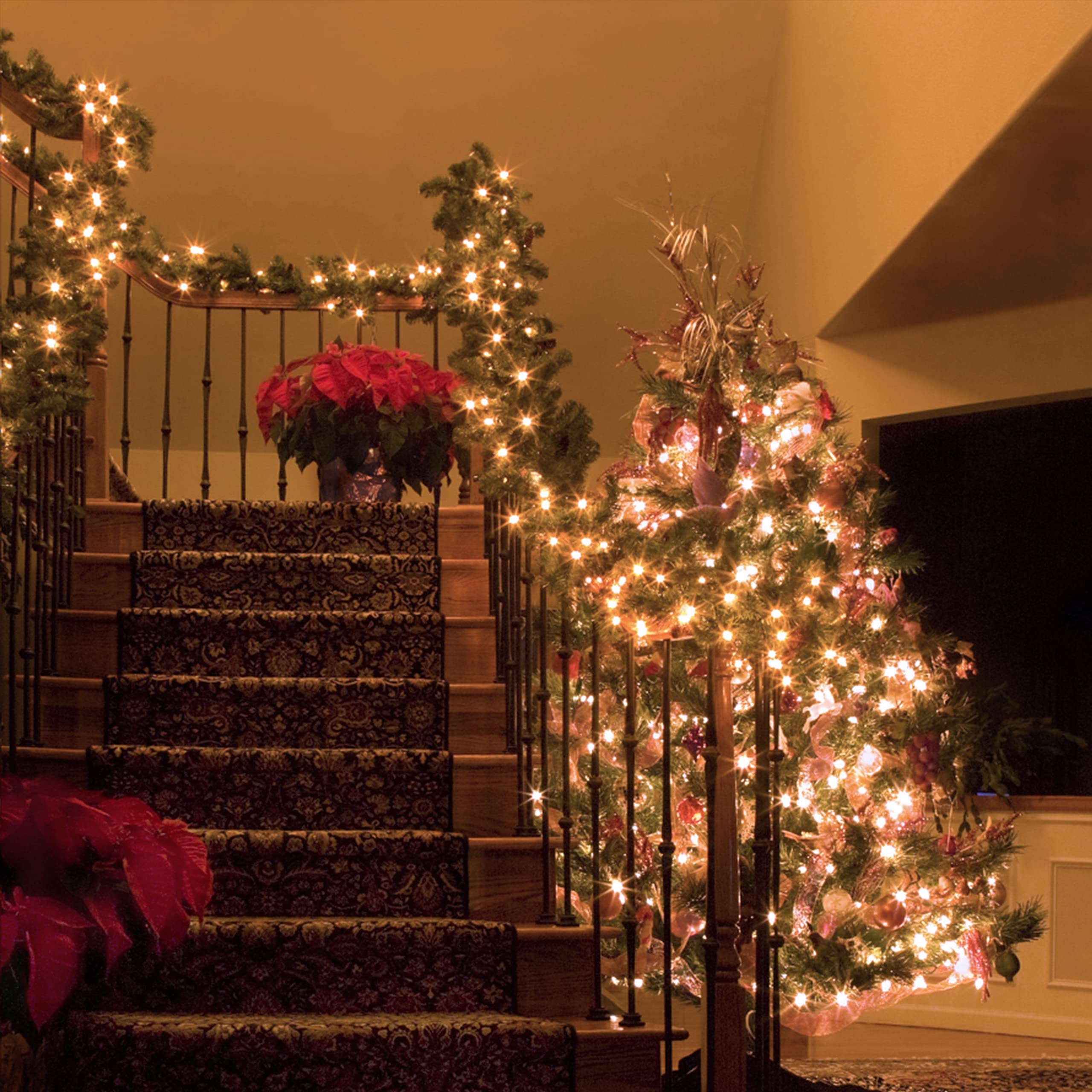 Turnmeon 240 Led Warm White Copper Wire String Lights - 80Ft, 8 Modes, Battery Operated, Waterproof