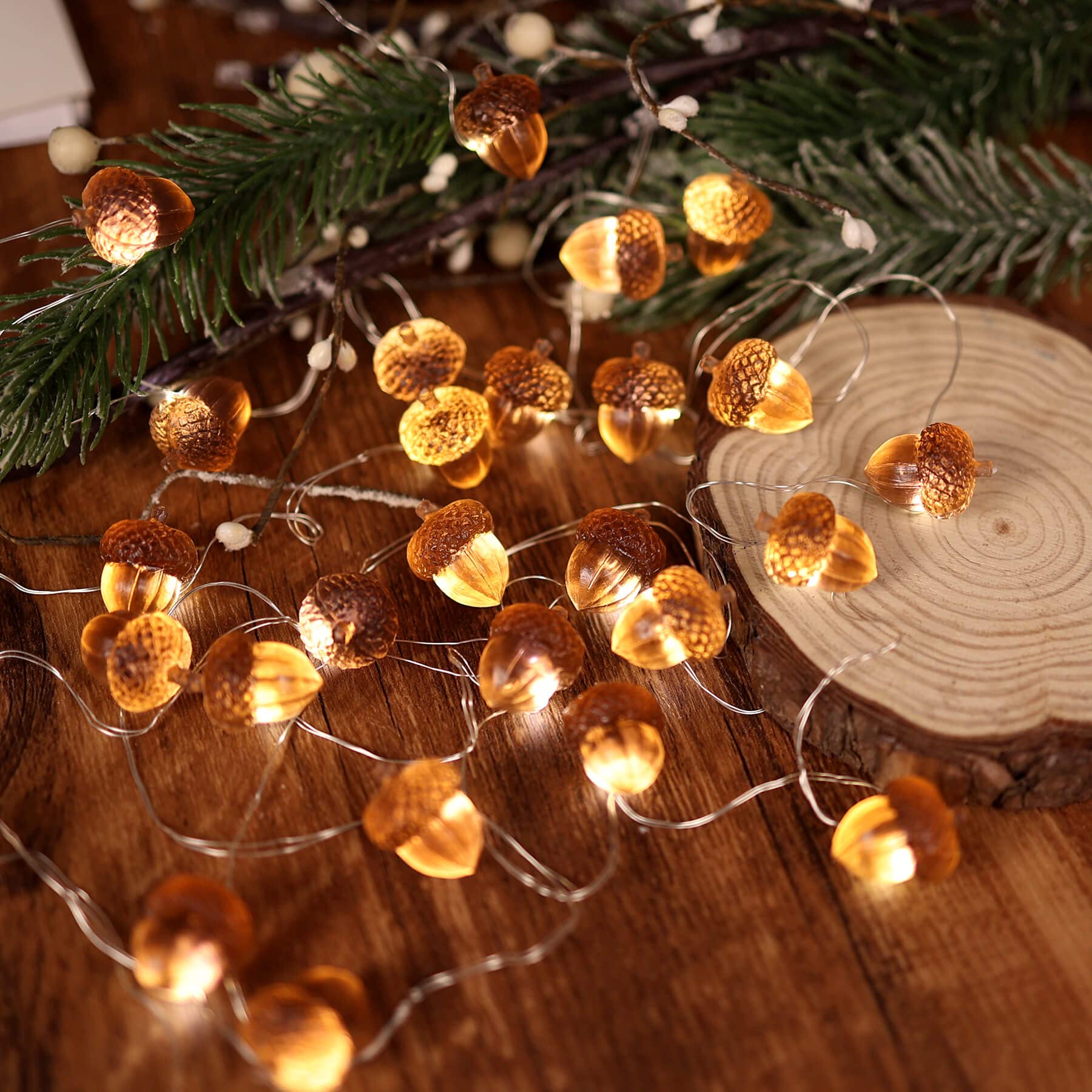 JASHIKA Acorn String Lights - Thumbnail 5