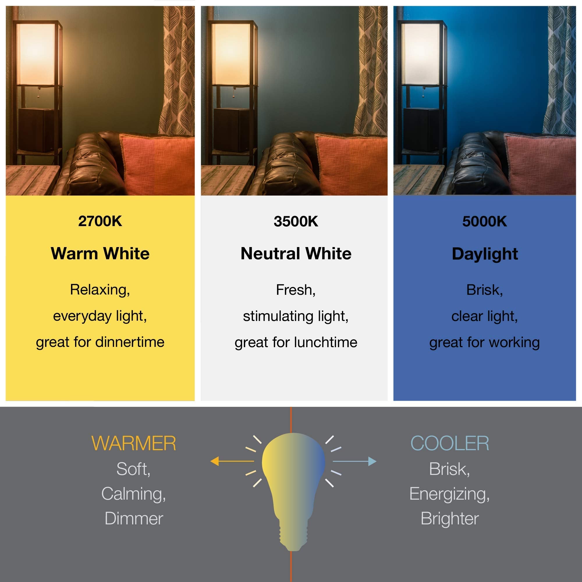 Sylvania Eco Led Par38 Light Bulb, 90W = 14W, 7 Year, Non-Dimmable, 1100 Lumens, Clear, 5000K, Daylight - 2 Pack (40882)