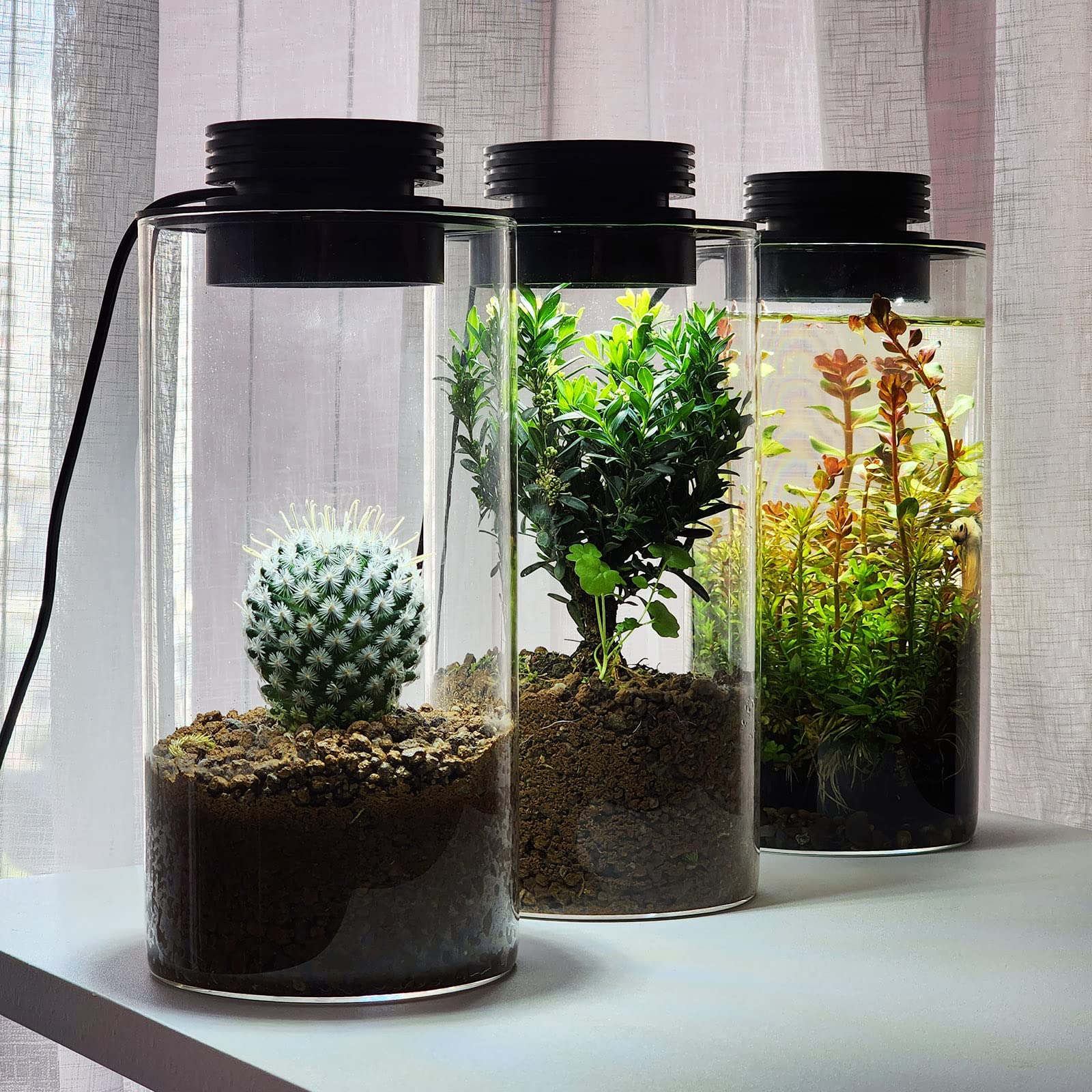 Desktop Glass Plant Terrarium With Grow Light (H:7.8&quot; D:4&quot;), For Succulent, Moss, Miniature Gardening Landscape, Betta Fish Tank, Indoor Plant Growth, Office Home Decoration, Plant Lovers Gifts