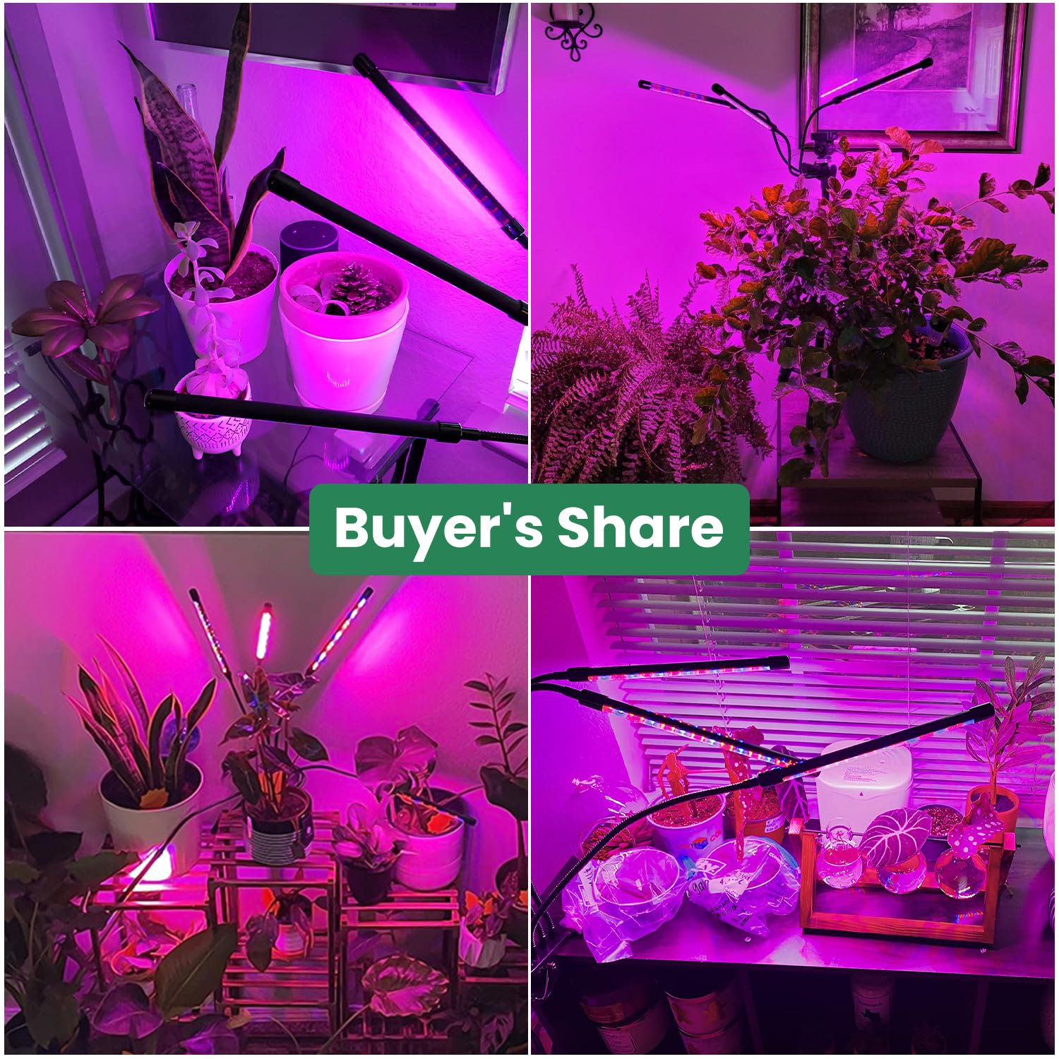 Garpsen Plant Lights, 3 Heads Red Blue Warm White Full Spectrum Grow Lights For Indoor Plants, 60 Leds Led Grow Light For Seed Starting, With Auto On/Off 6/12/16H Timer, 5 Dimmable Levels
