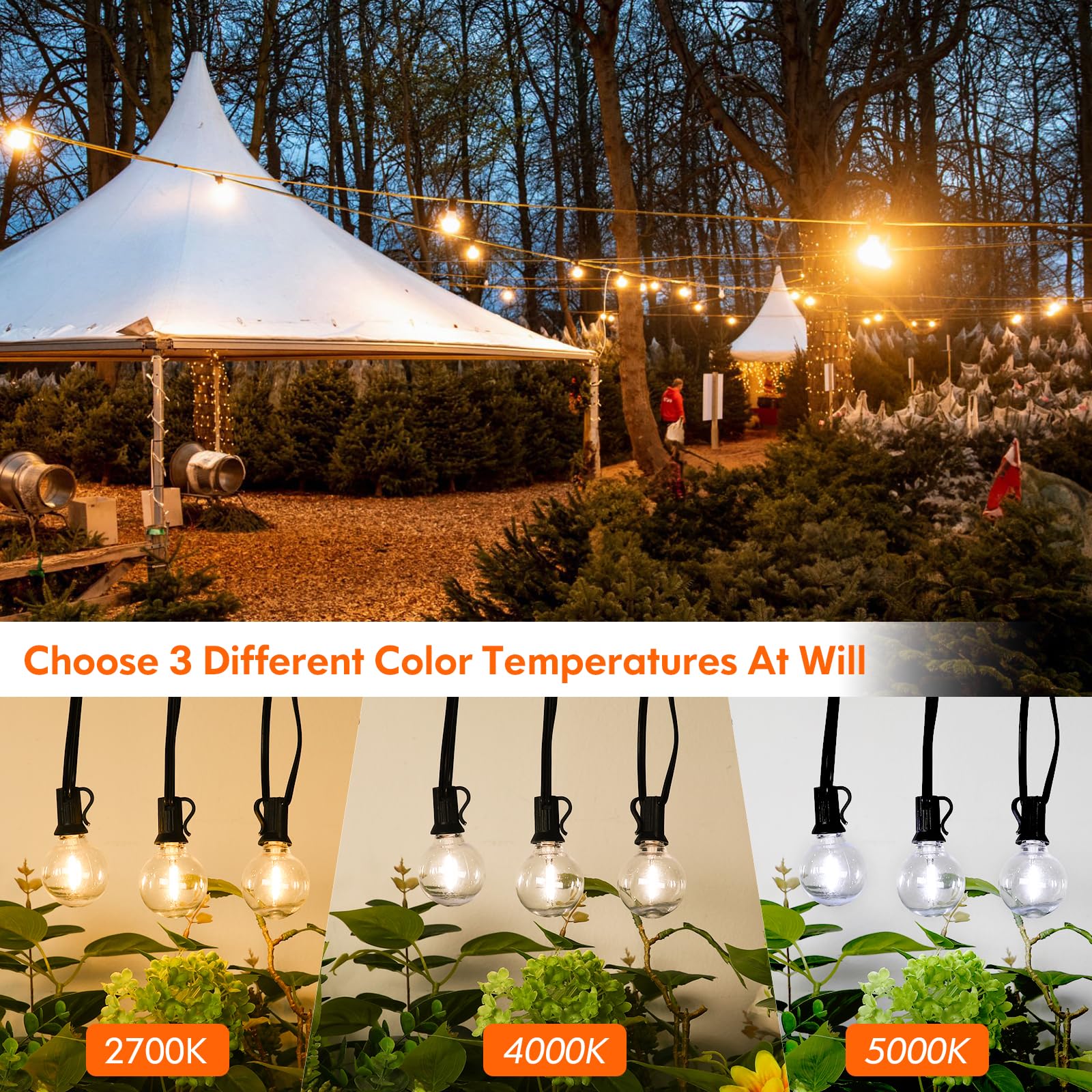 50Ft Outdoor String Lights With 3 Color Lights, Dimmable G40 Globe String Lights For Outside With Remote, Waterproof Patio Light