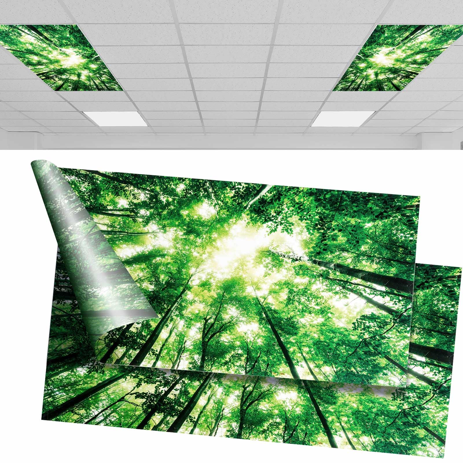 Amylove 2 Pcs Fluorescent Light Covers 2X4 Feet Light Filter Ceiling Light Cover Light Diffuser Florescent Light Plastic Light Diffuser Panels For Classroom School Office Kitchen Home Decor (Forest)