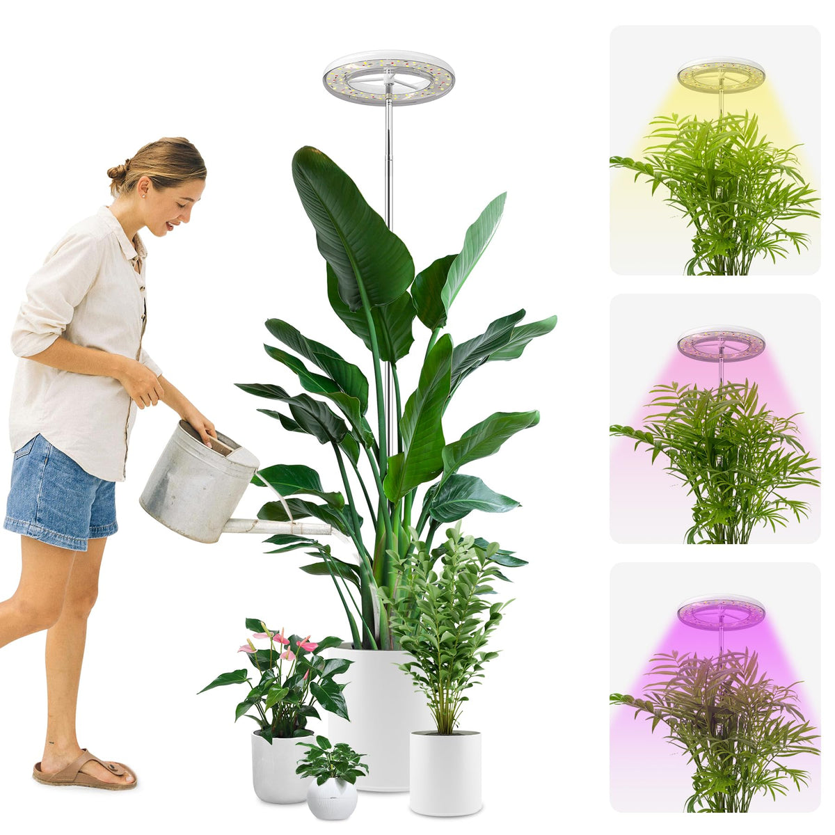 YUYMIKA Grow Light for Indoor Plants - 72LED Halo Plant Light with Full Spectrum Red& Blue Mode, 11.8~59 inch Telescopic Rod and Auto Timer, 5V3A US Plug Included - 1 Pack