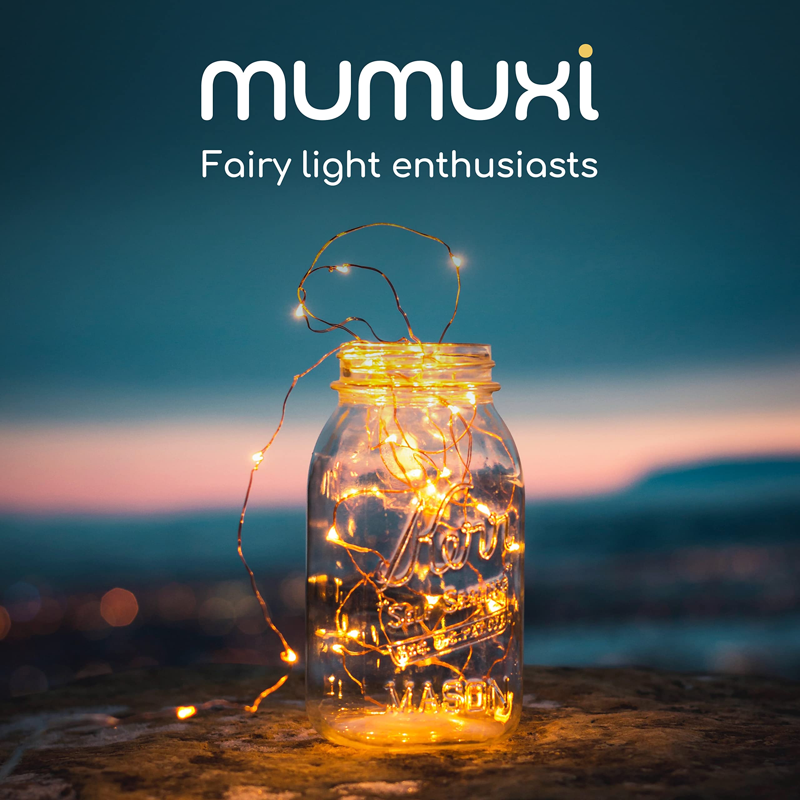 Mumuxi 24 Pack 7.2Ft Warm White Battery Operated Fairy Lights, 20 Mini Led Copper Wire String Lights For Weddings & Home Decor