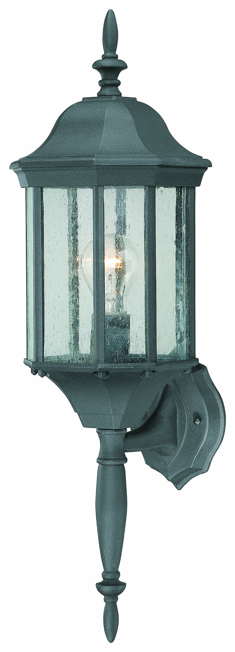 Elk Home Thomas Lighting Hawthorne Black Outdoor Wall Lantern, 26&quot; Aluminum Fixture