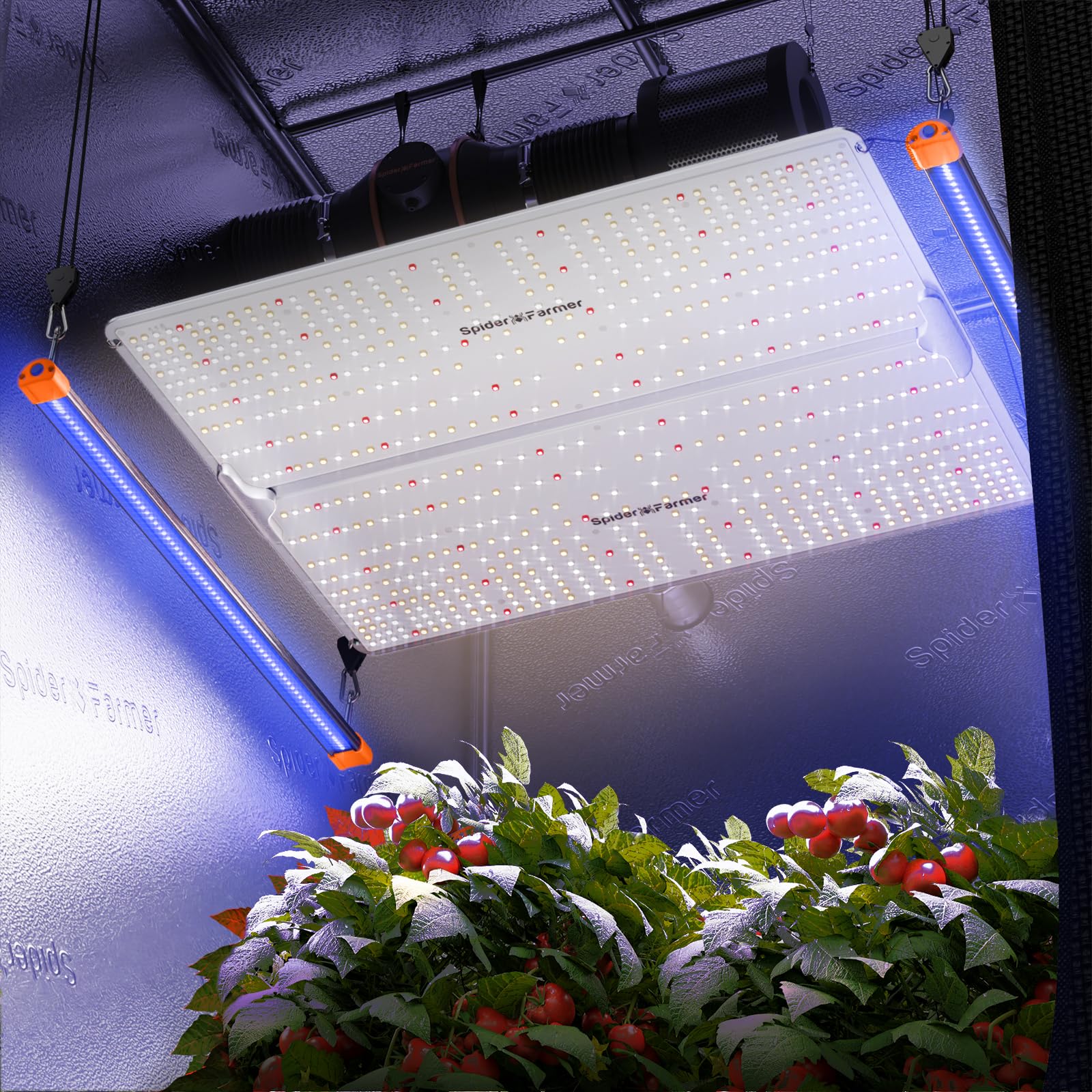 Spider Farmer Supp-Uv60 Led Grow Light Bars, Uv Supplemental Light For Indoor Plants, Vertical Farming, Grow Rooms, 2X4, 5X5 Grow Tents, 365-370Nm Ultraviolet Daisy Chain Lighting, 35.4&quot; Long