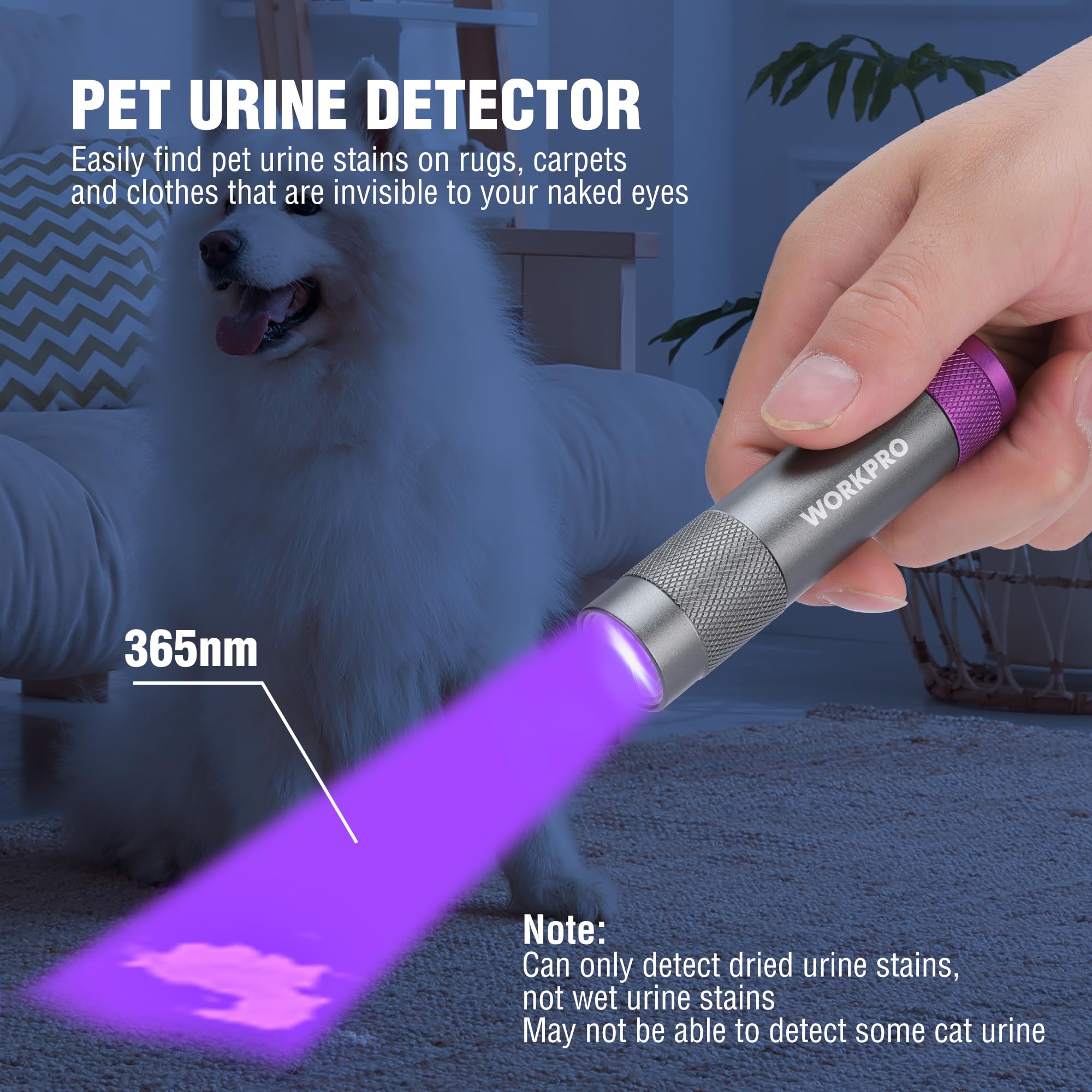 Workpro Uv Flashlight Black Light, 365Nm Uv Rechargeable Flashlight, Small Portable Black Light For Pet Dog Urine, Stains Detect