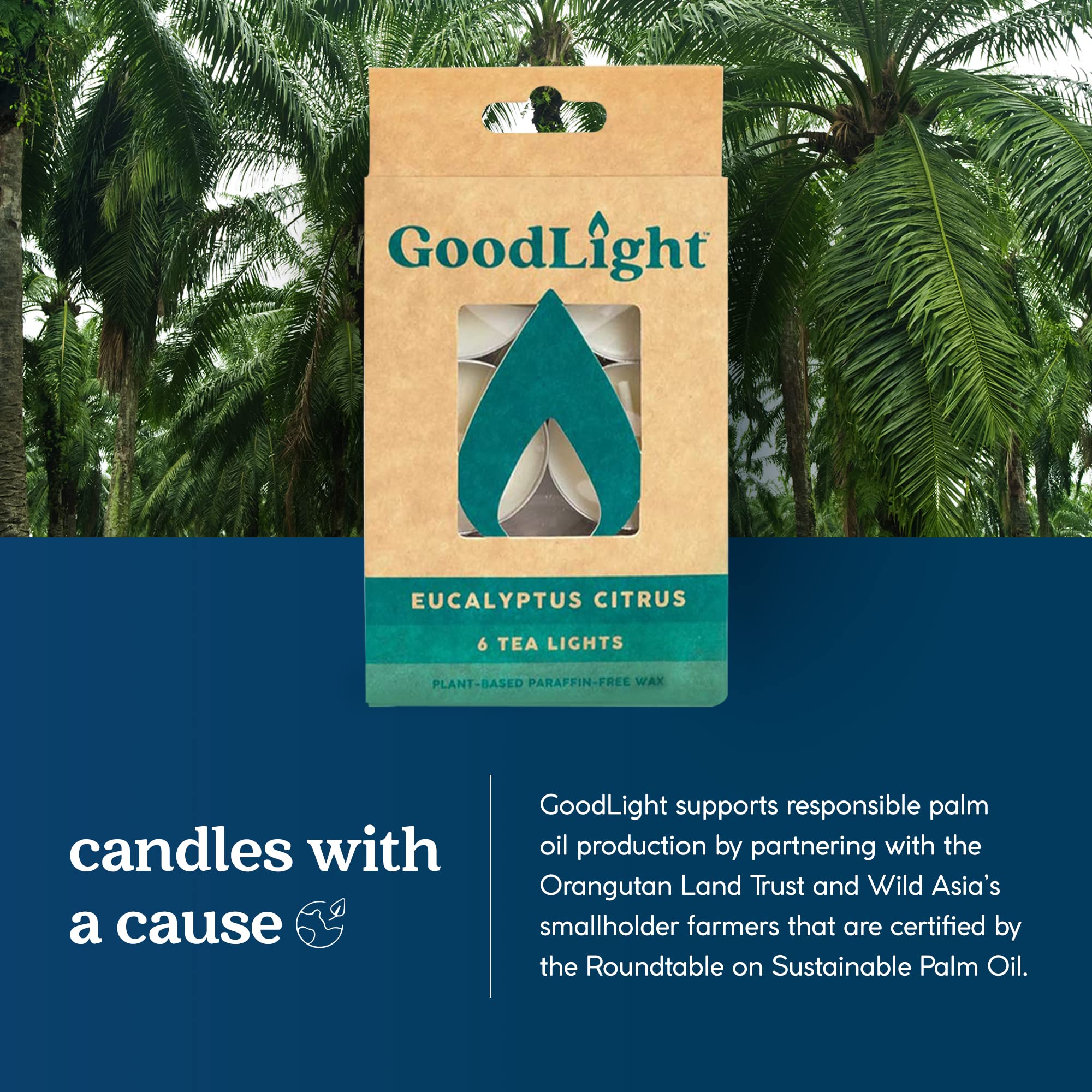 Goodlight Paraffin-Free Scented Tea Lights Candles, Clean-Burning And All-Natural Tea Light Candles, 4-Hour Burn Time (Eucalyptu
