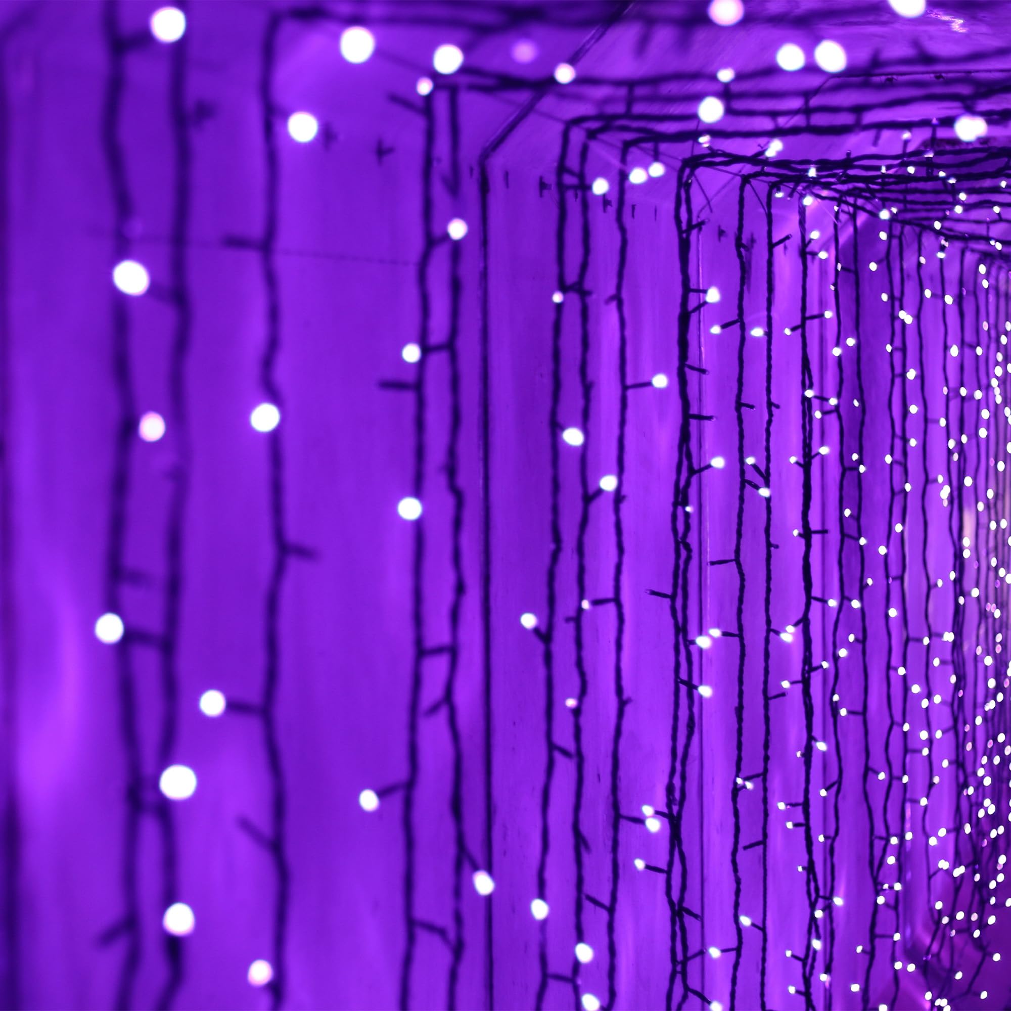 Selarlyt 2 Pack Solar String Lights, 200 LED, 72FT, Waterproof, Purple, 8 Lighting Modes for Garden, Patio, Balcony, Xmas, Wedding, Party