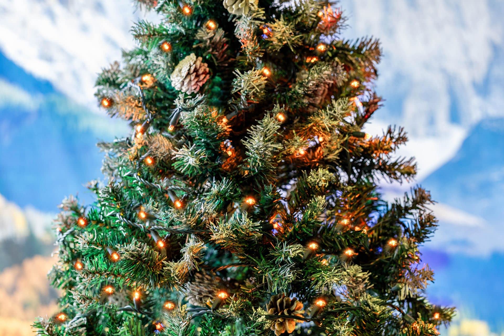 Novelty Lights 25ft Amber LED Christmas String Lights, 50 LEDs, Brown Wire, Dimmable, Connectable, UL Listed, IP55