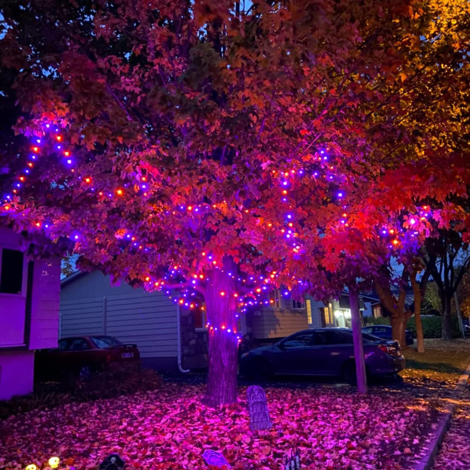 Joomer Halloween String Lights 100FT 300 LED Waterproof Plug-In Orange Purple with 8 Modes Timer for Indoor Outdoor Decorations