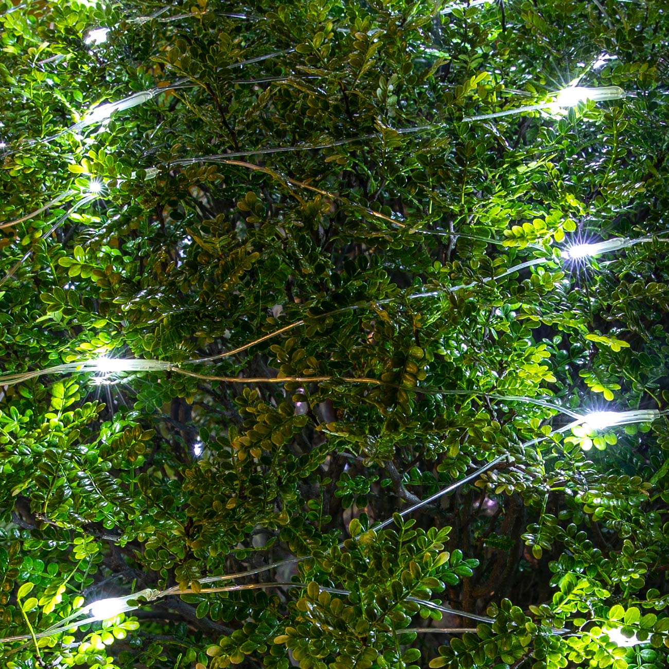 Awq 200 Led 9.8Ft X 6.6Ft String Lights Net Mesh Lights Christmas Net Lights 8 Modes For Christmas Wedding Party Home Garden Law