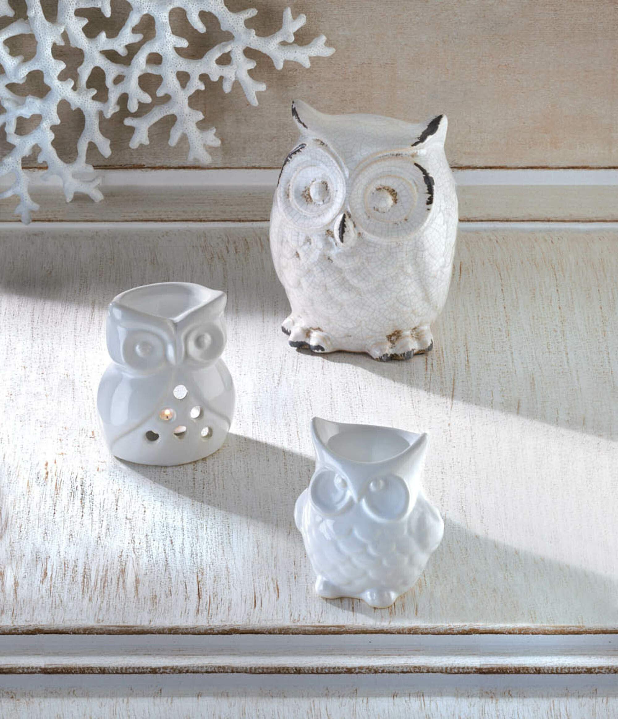 Zings & Thingz 57071310 White Owl Oil Warmer, No Size