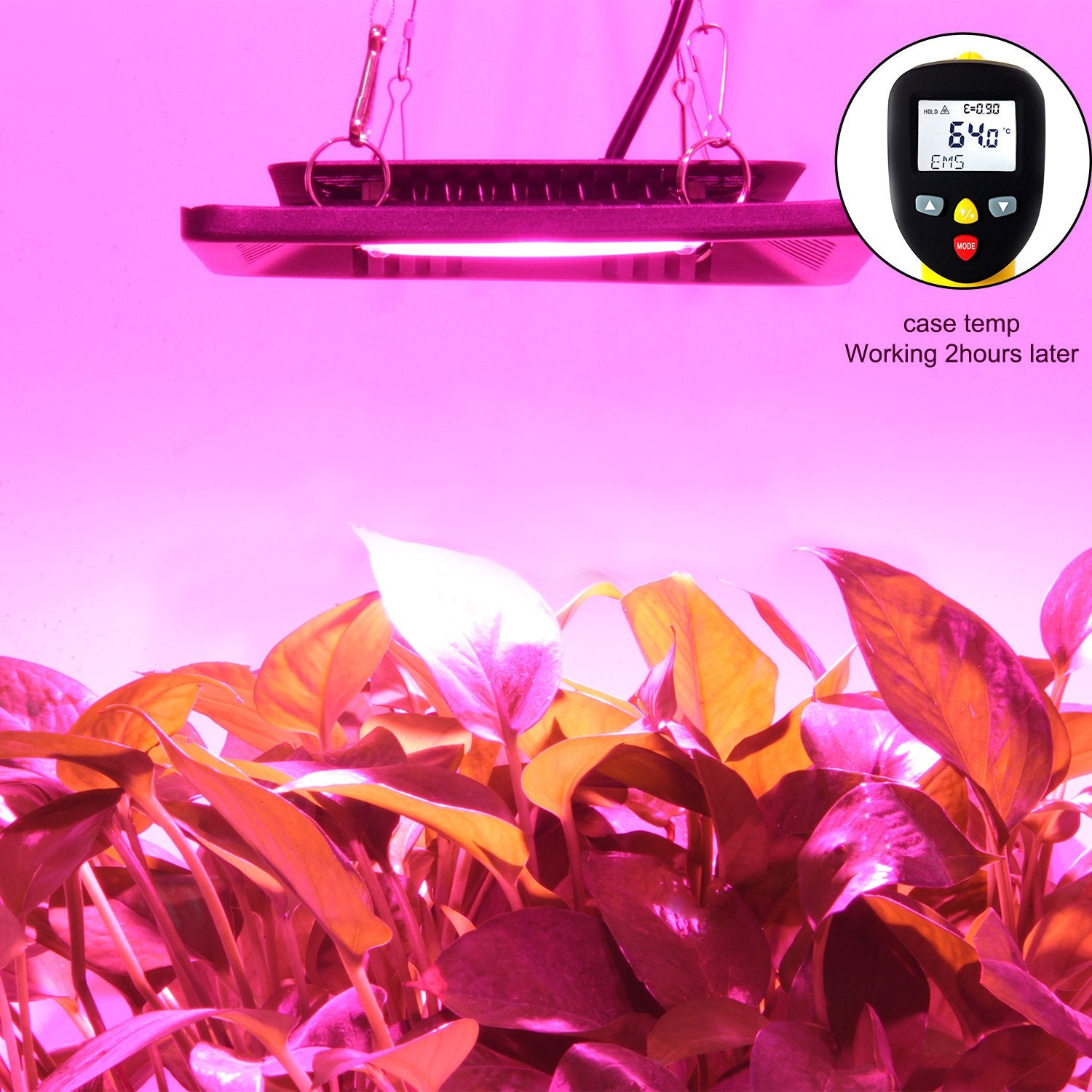 Waterproof 100W Led Grow Light Full Spectrum, New Technology Cob Led Grow Light, Natural Heat Dissipation Without Noise, Suitabl