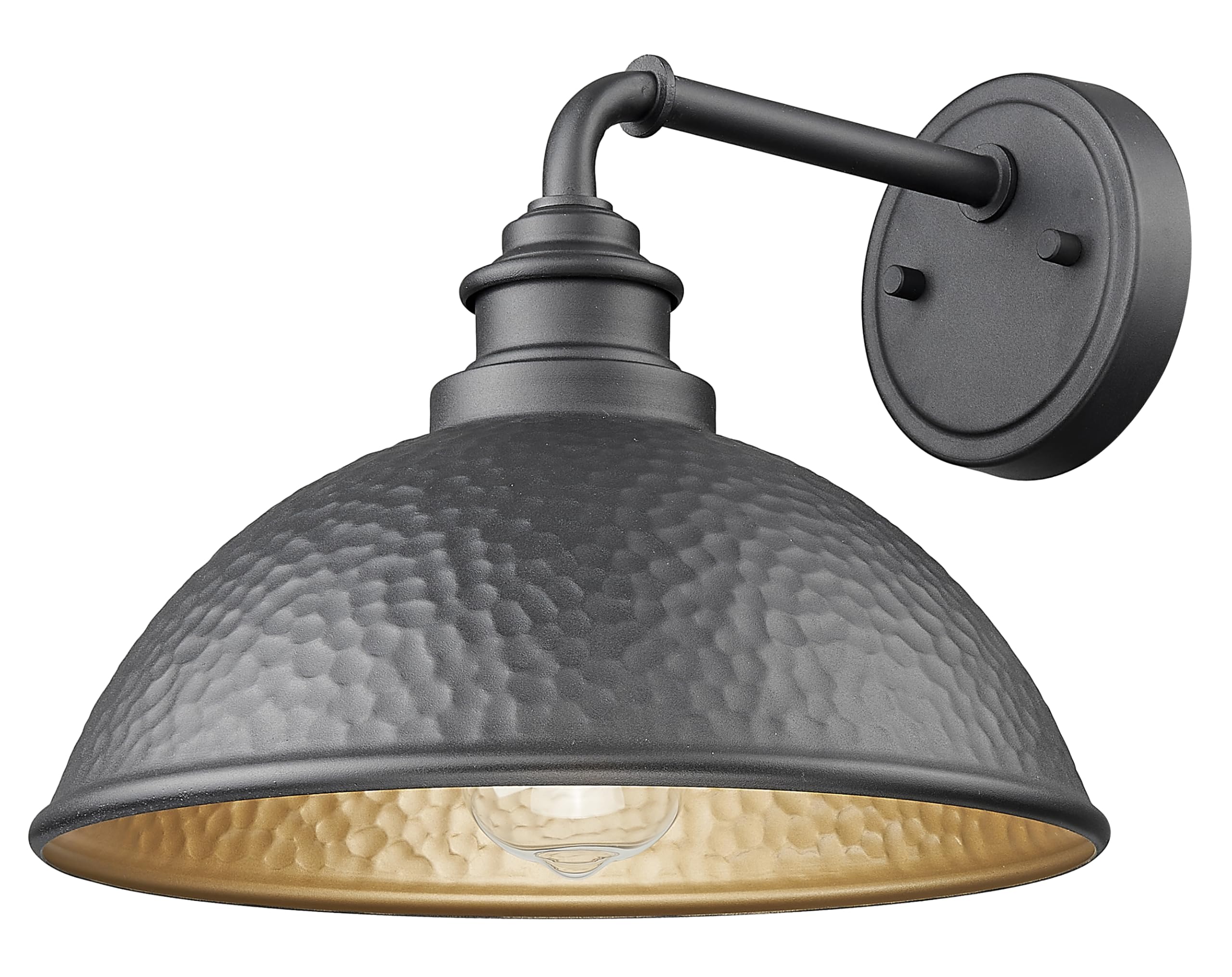 Acclaim Lighting 10.5 in. 1-Light Hammered Black with Matte Gold Interior Outdoor Wall Lantern