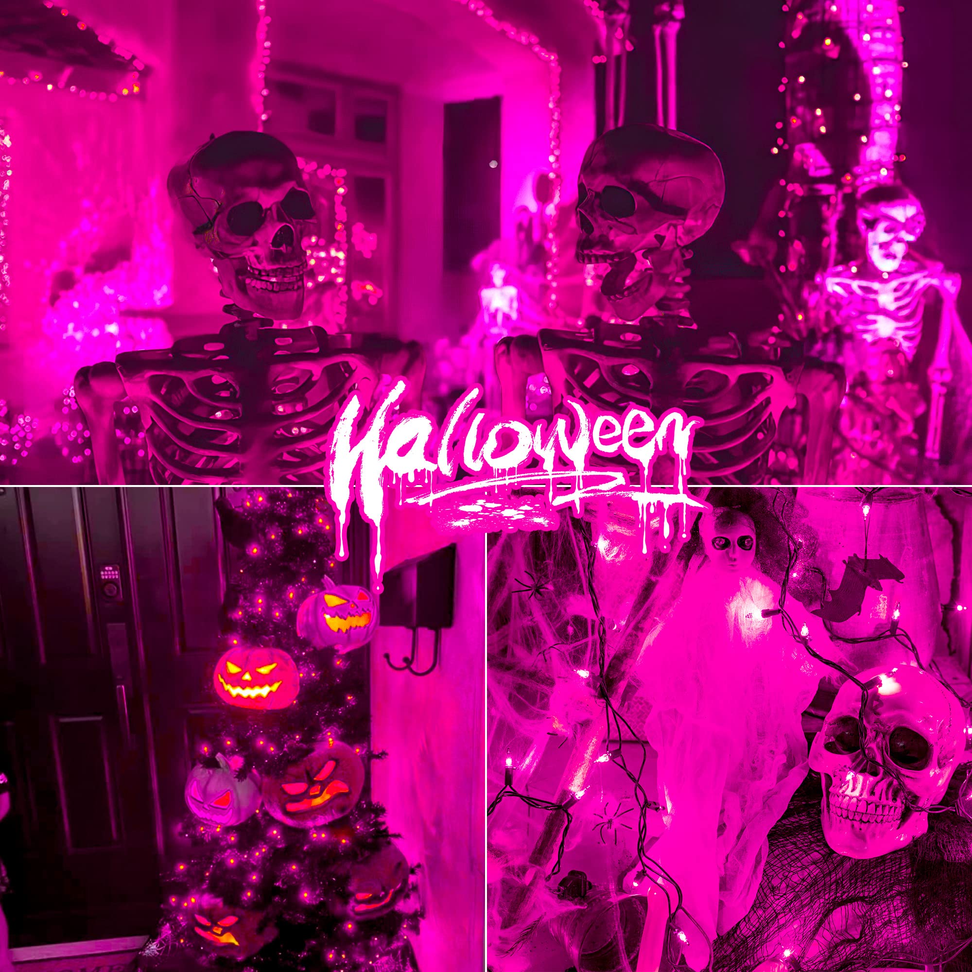 hopolon Mini String Lights, 50 Count, 2 Pack, 13FT Connectable, Purple, Green Wire, Model QX-50-1-M, Indoor/Outdoor Decor