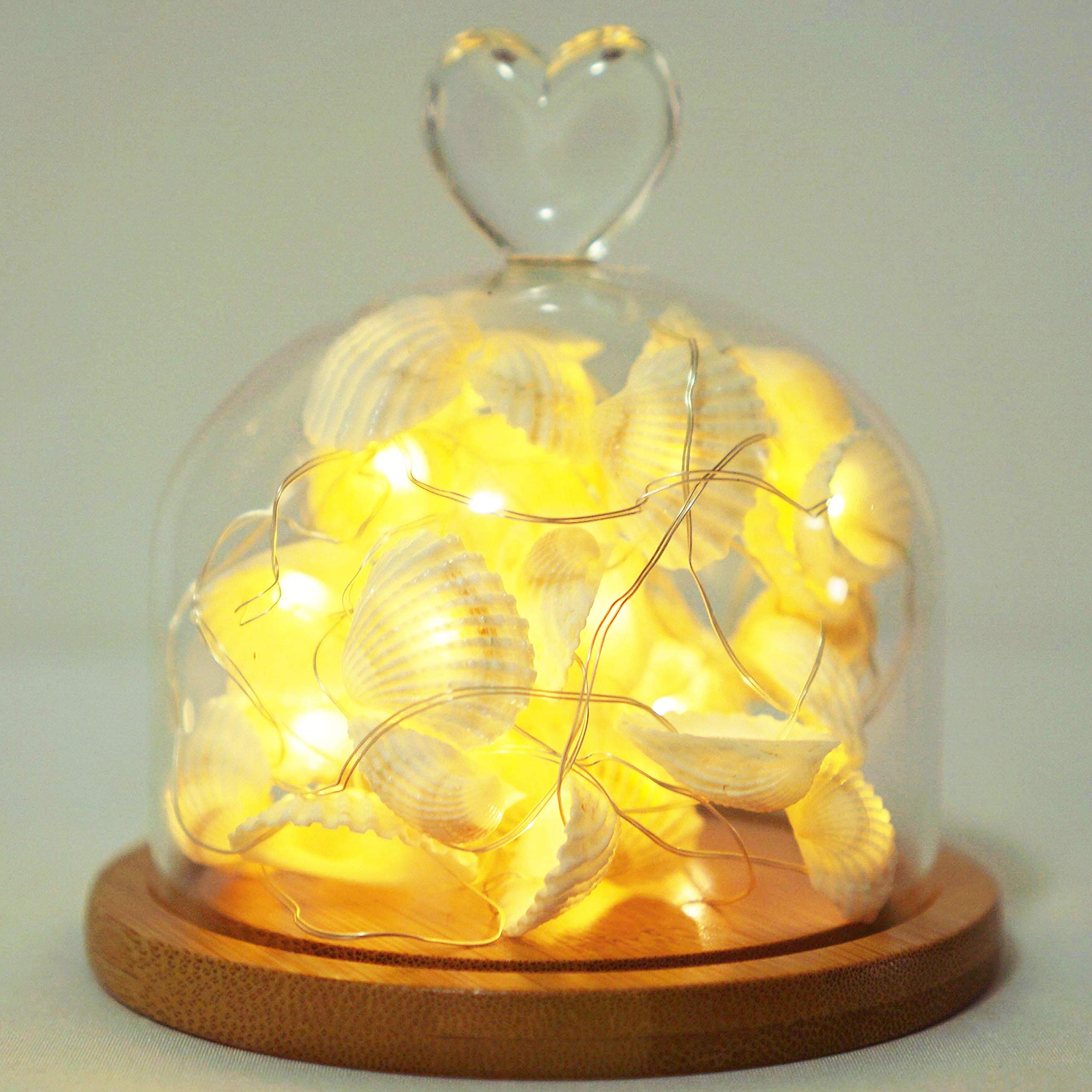 Cynzia 40LED Natural Seashells String Lights, 13.85ft Waterproof Fairy Lights with Remote Control, White, Model C-66