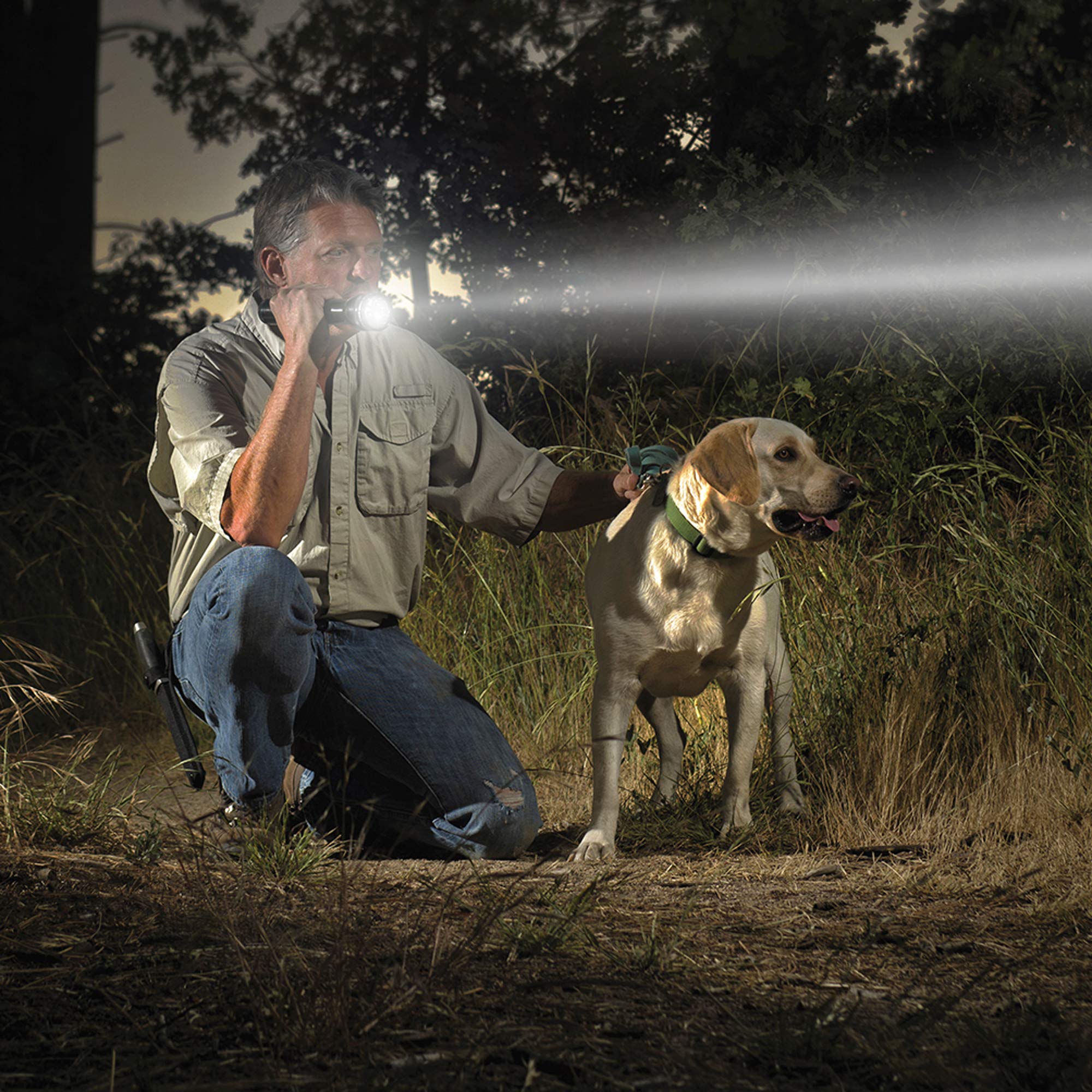 MagLite Heavy-Duty Incandescent 3-Cell D Flashlight, Camo, Model S3D026, Aluminum Construction