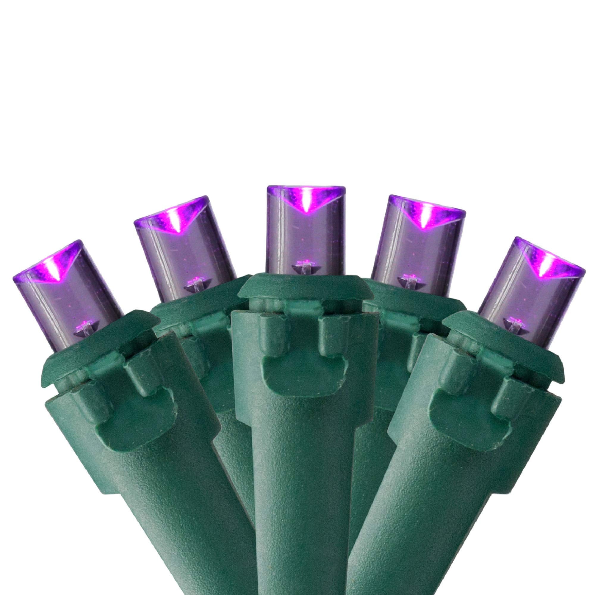 Northlight Purple LED Christmas Lights - 50 Wide Angle Bulbs, 16.25 ft, Green Wire