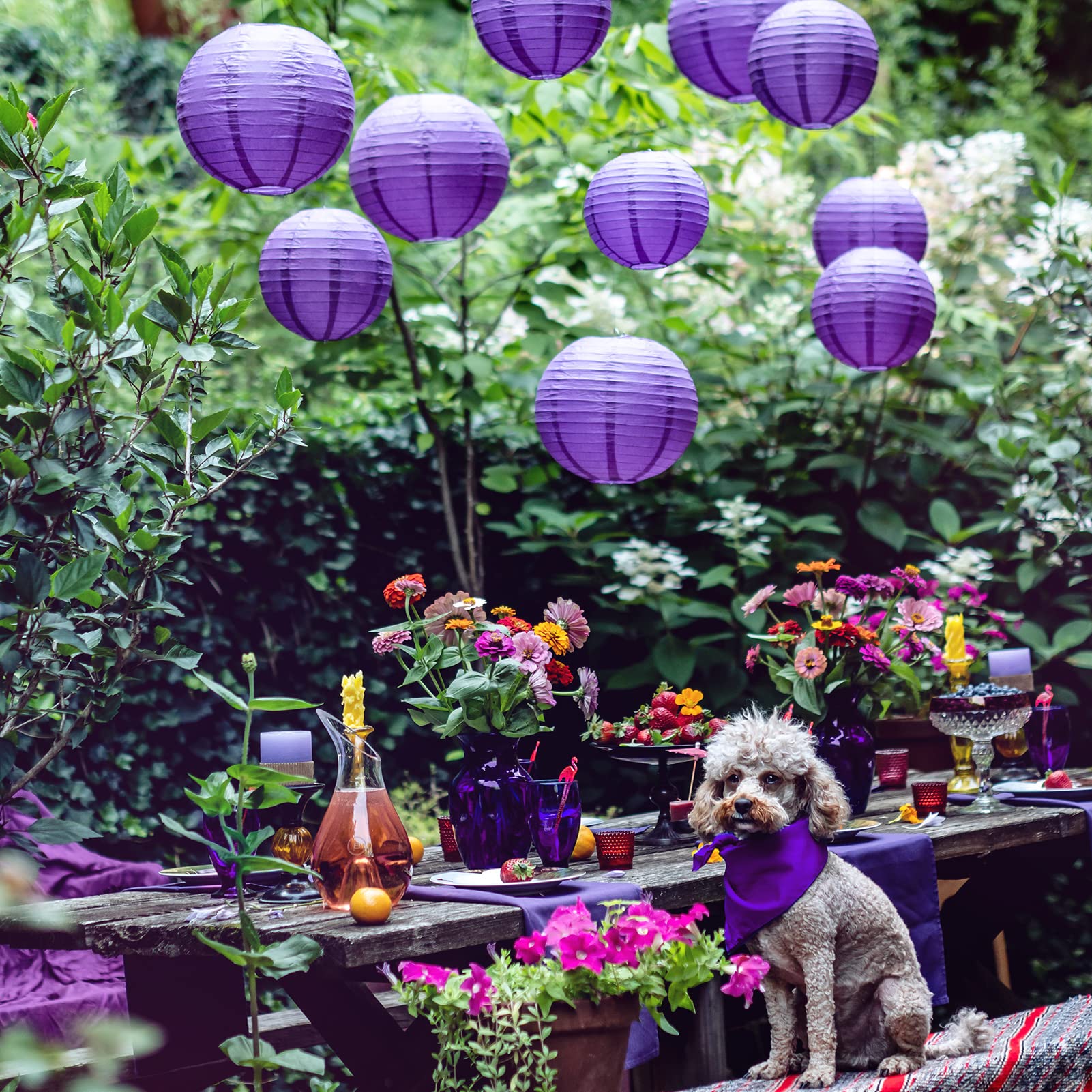 Purple Paper Lanterns - 25 Piece Set - Purple Party Decorations For Birthdays, Weddings And Special Occasions By Avoseta