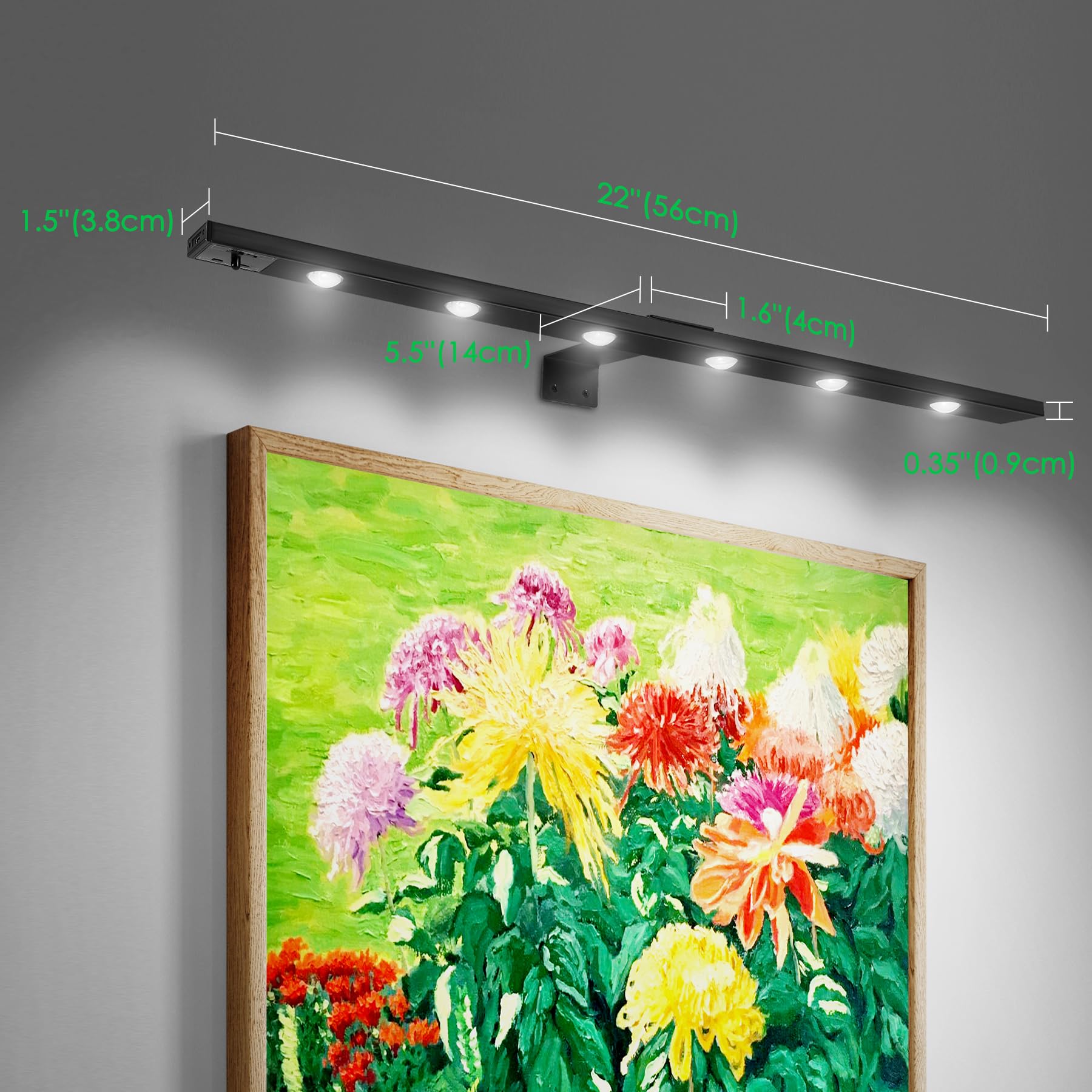 Arixinks 22'' LED Wall Picture Light with Remote, Rechargeable Battery, Ultra Thin, Dimmable, Black - Perfect for Art Display