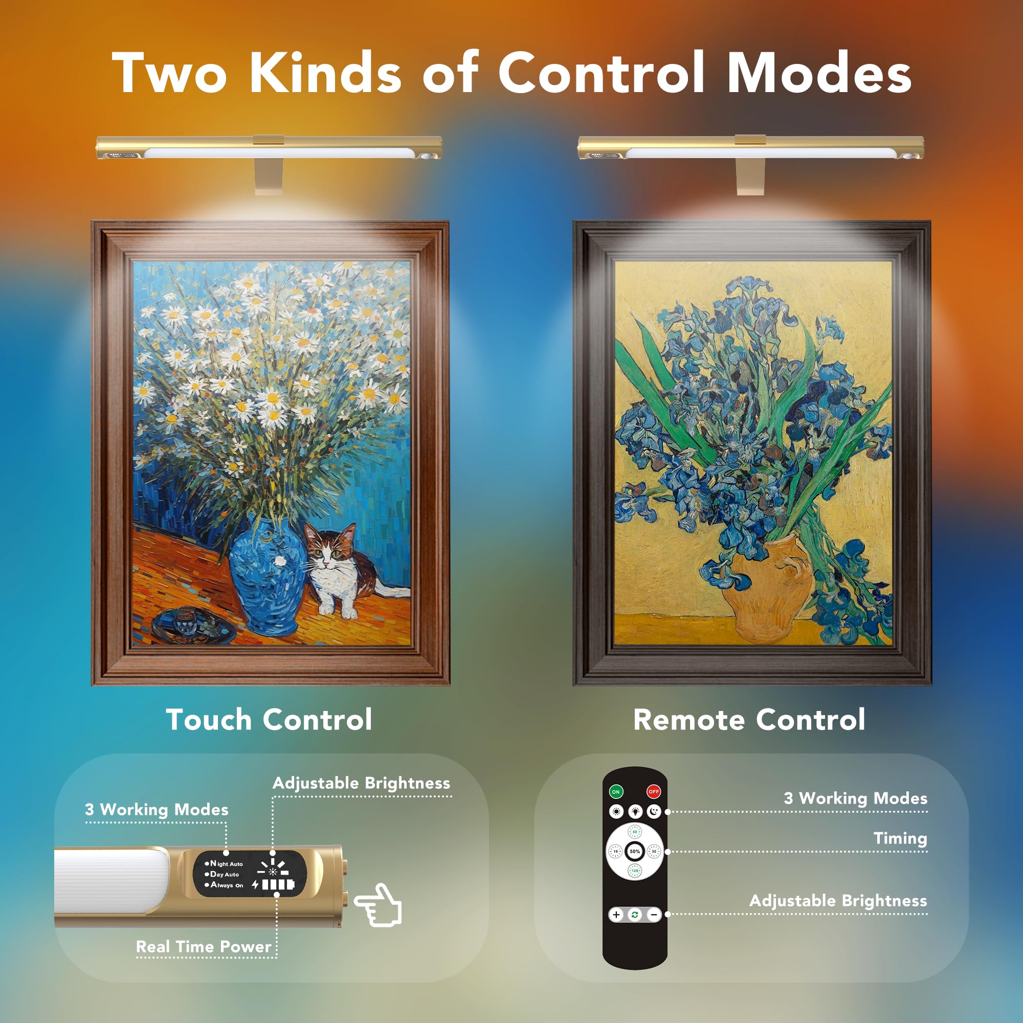 Wireless Picture Lights for Wall 2 Pack, Remote Control, 3 Color Dimming and Timer, 14in Rechargeable Art Display Light with Dig