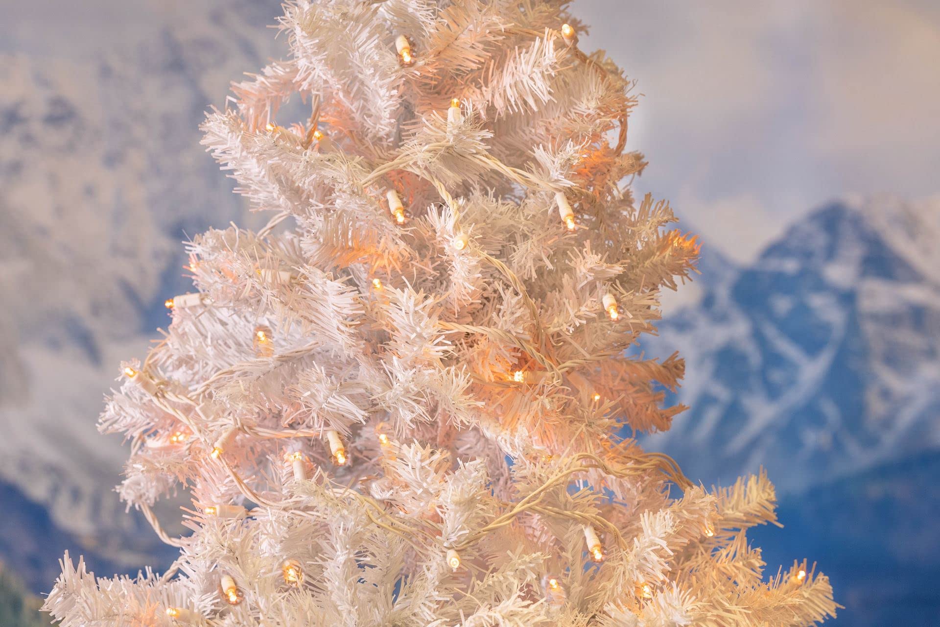 Novelty Lights 25 Feet 50 Light Amber Led Christmas Lights White Wire, Connectable Mini String, Indoor/Outdoor, Commercial Grade