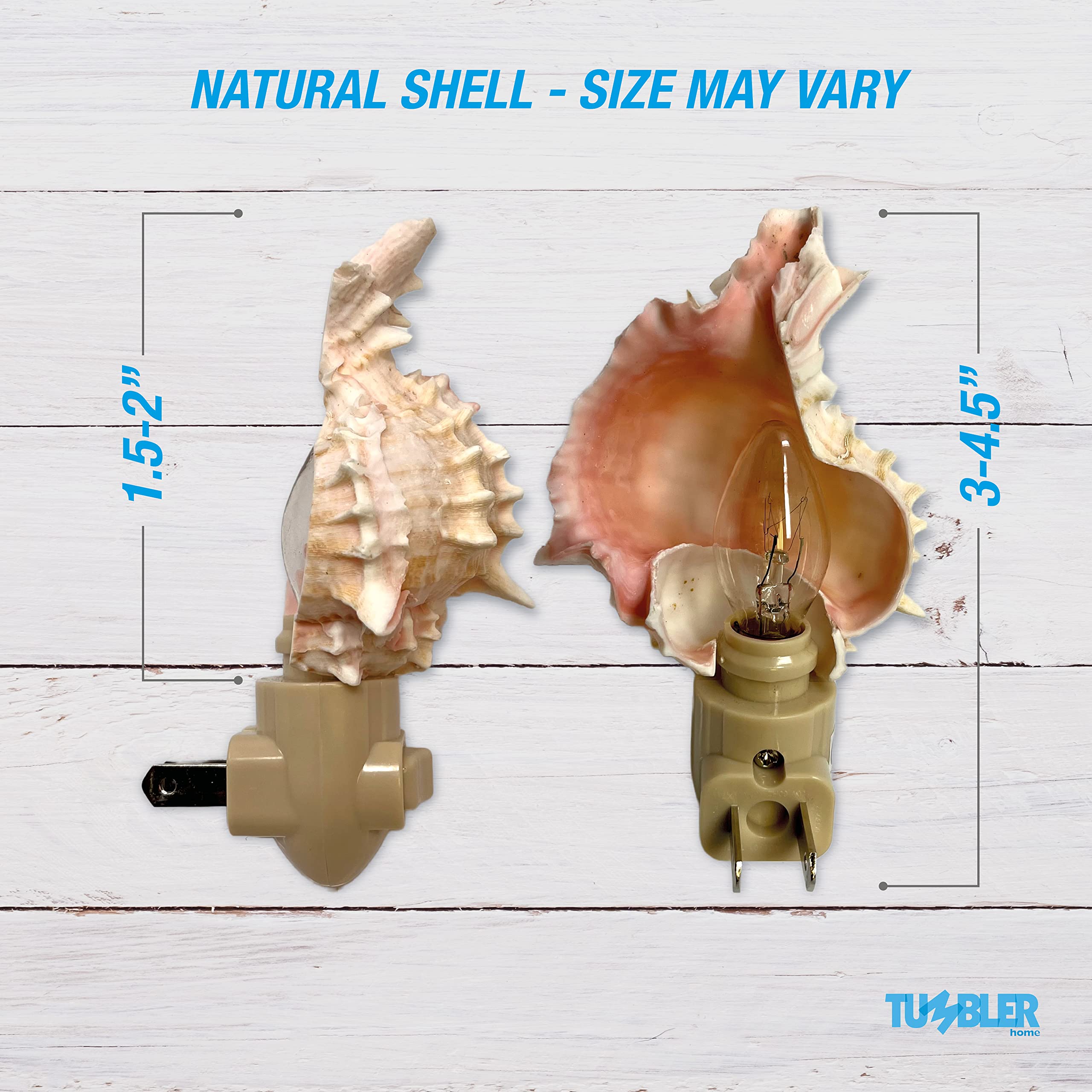 Tumbler Home Seashell Night Light, Murex Pink, Coastal Décor, Model DCR-NTL-MUREX-PINK
