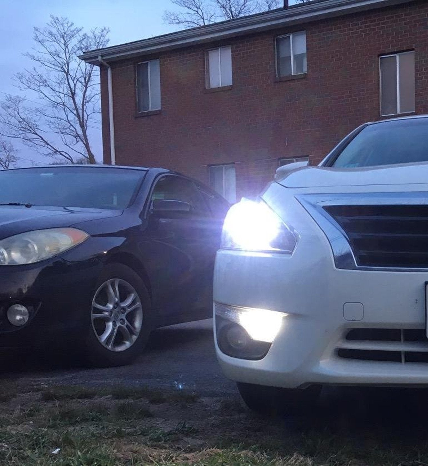 Alla Lighting 7443 T20 2800lm LED Bulbs, 6000K Xenon White, Super Bright Reverse/Signal/Brake Tail Lights, 12V 5730 33