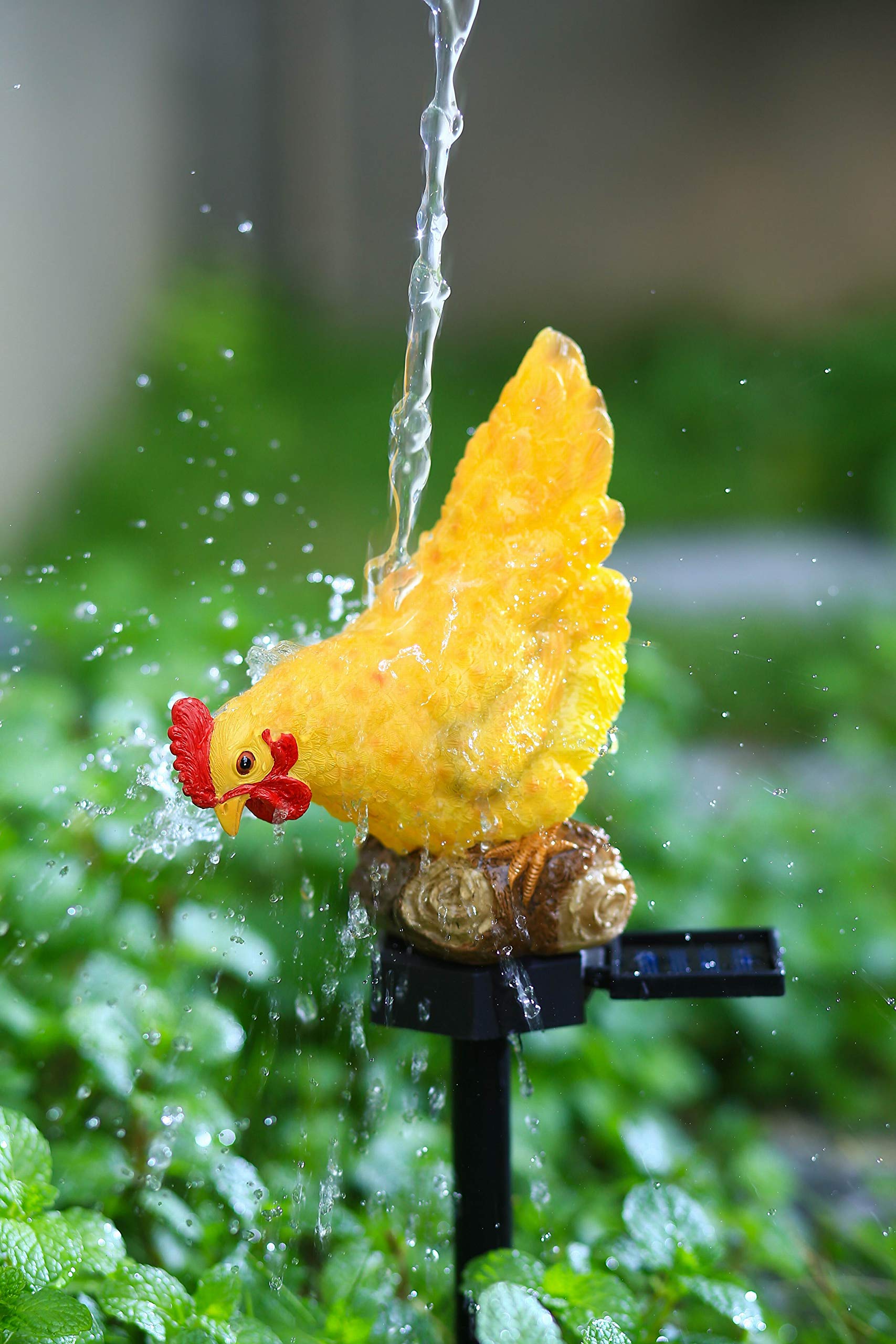 CHUANGFENG Outdoor Chicken Solar Lights, Resin Garden Decor, Cute Chicken Gifts for Patio, Mother's Day, Model CF-JASON-2011112