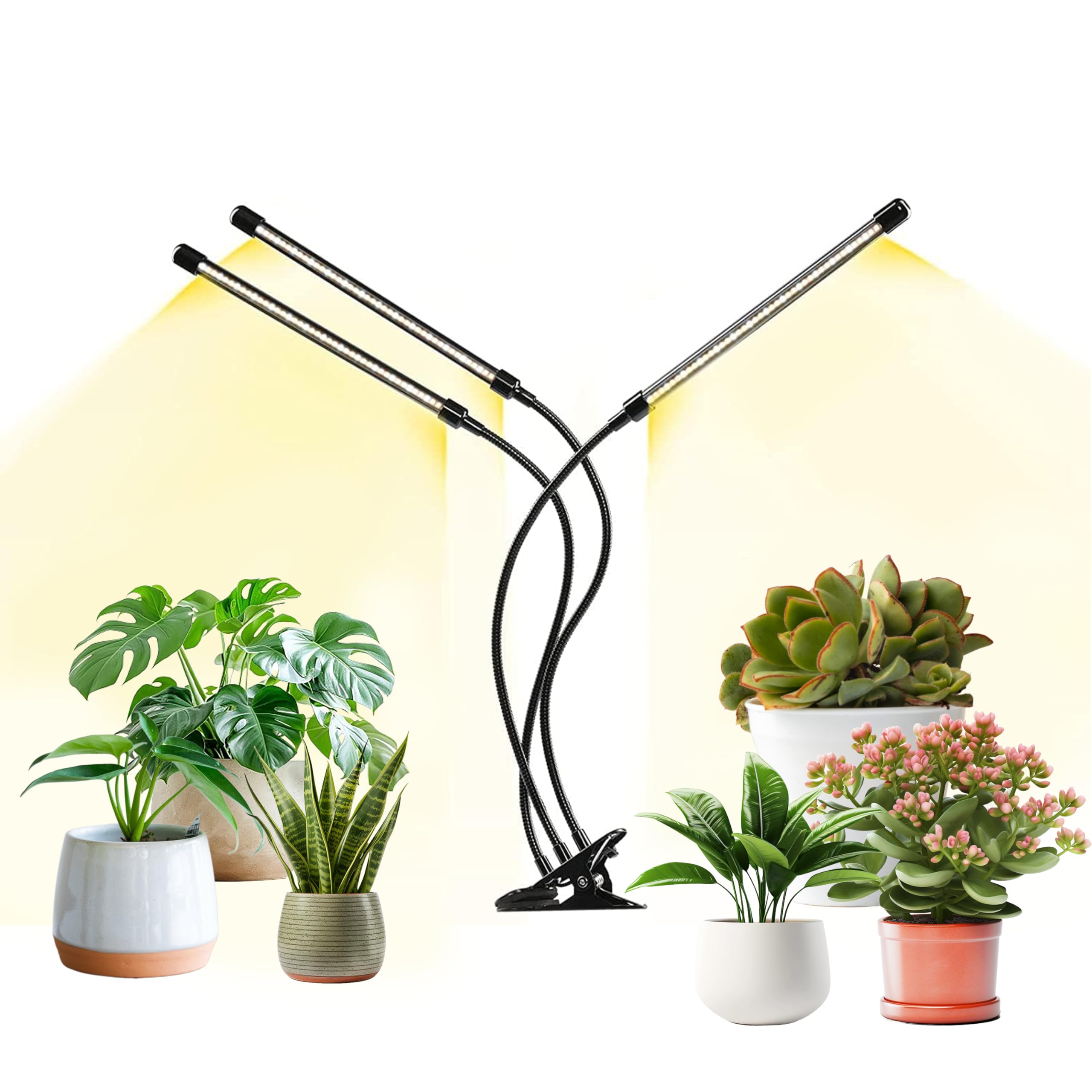 iPower Grow Light Plant Lights for Indoor Plants, Full Spectrum Growing Lamp, 5 Dimmable Levels Auto ON & Off with 4/8/12H Timer