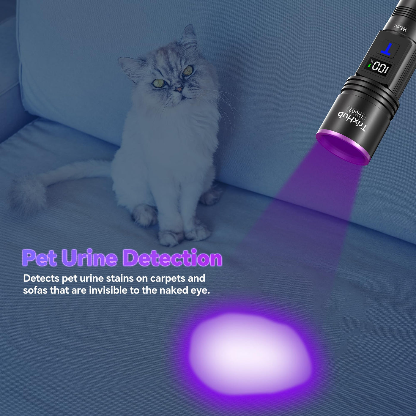 black light flashlight for pet urine 365Nm Black Light Flashlight, Uv Flashlight Rechargeable With Lcd Display, Powerful Ultraviolet Lights For Pet Urine Detection, – Lightsdaddy