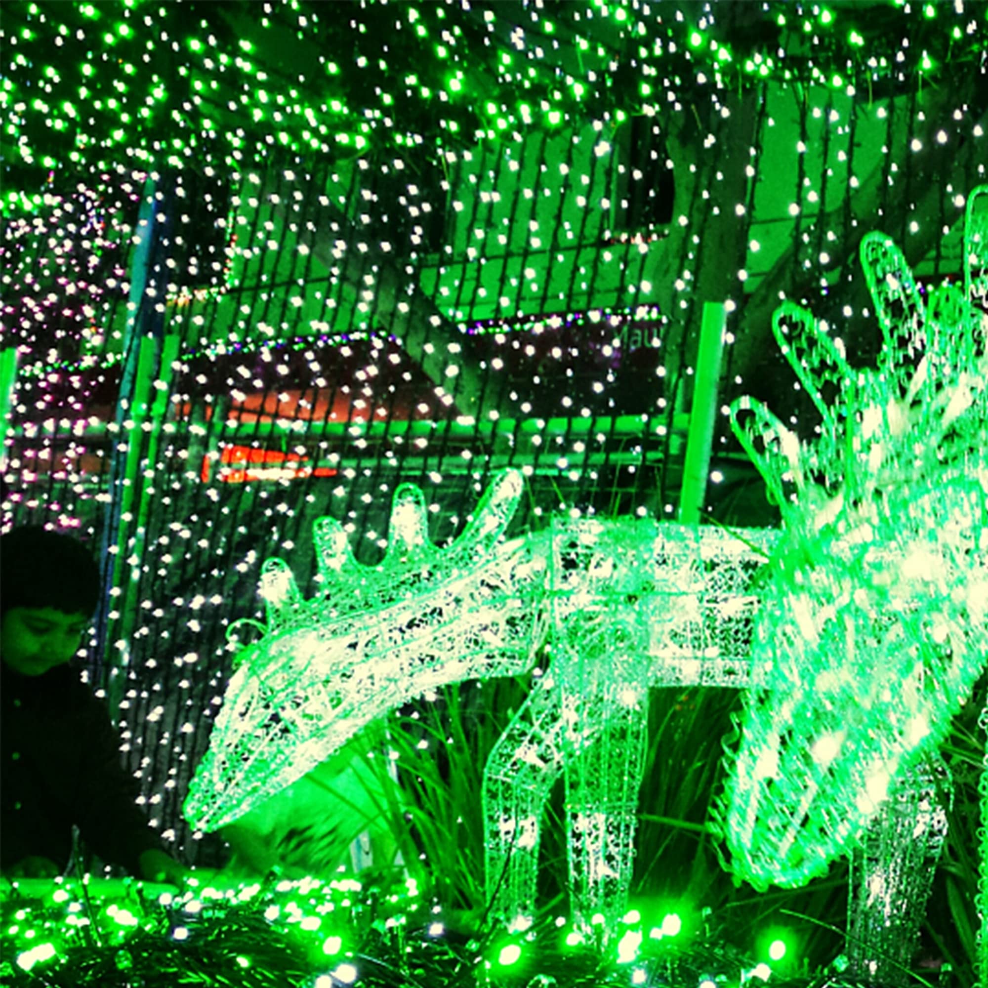 WATERGLIDE 50 LED St. Patrick's Day Shamrock String Lights, Battery Operated, Waterproof, 8 Lighting Modes, Green Decor for Party & Garden