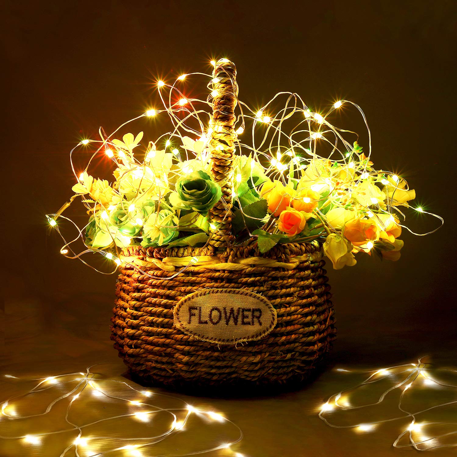 HABOM Led Fairy Lights Plug in,46 Ft 16 Colors Changing String Lights with Remote Control - 4 Lighting Modes+4 Timer Options+Ada