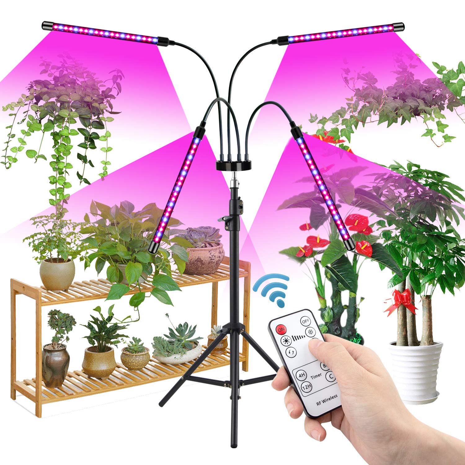 Growstar 80W Grow Light With Stand Tripod, 4 Heads Plant Light With Timer 4/8/12H, Grow Lamp Full Spectrum 360°Adjustable Gooseneck & Tripod For Indoor Plants.