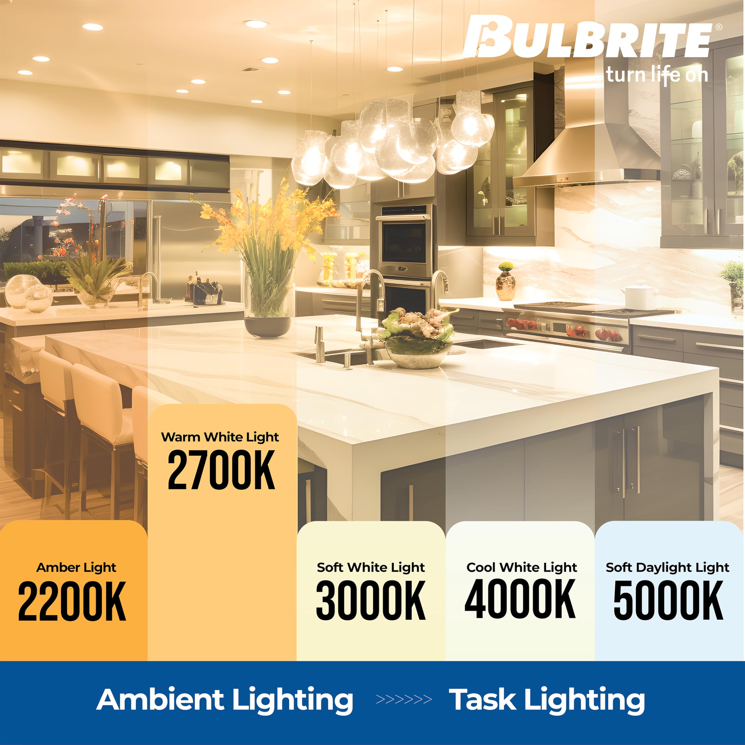 Bulbrite 4W LED G16 Decorative Globe Light Bulb, Clear Glass, E12 Base, 2700K, 4 Pack, Model 776873